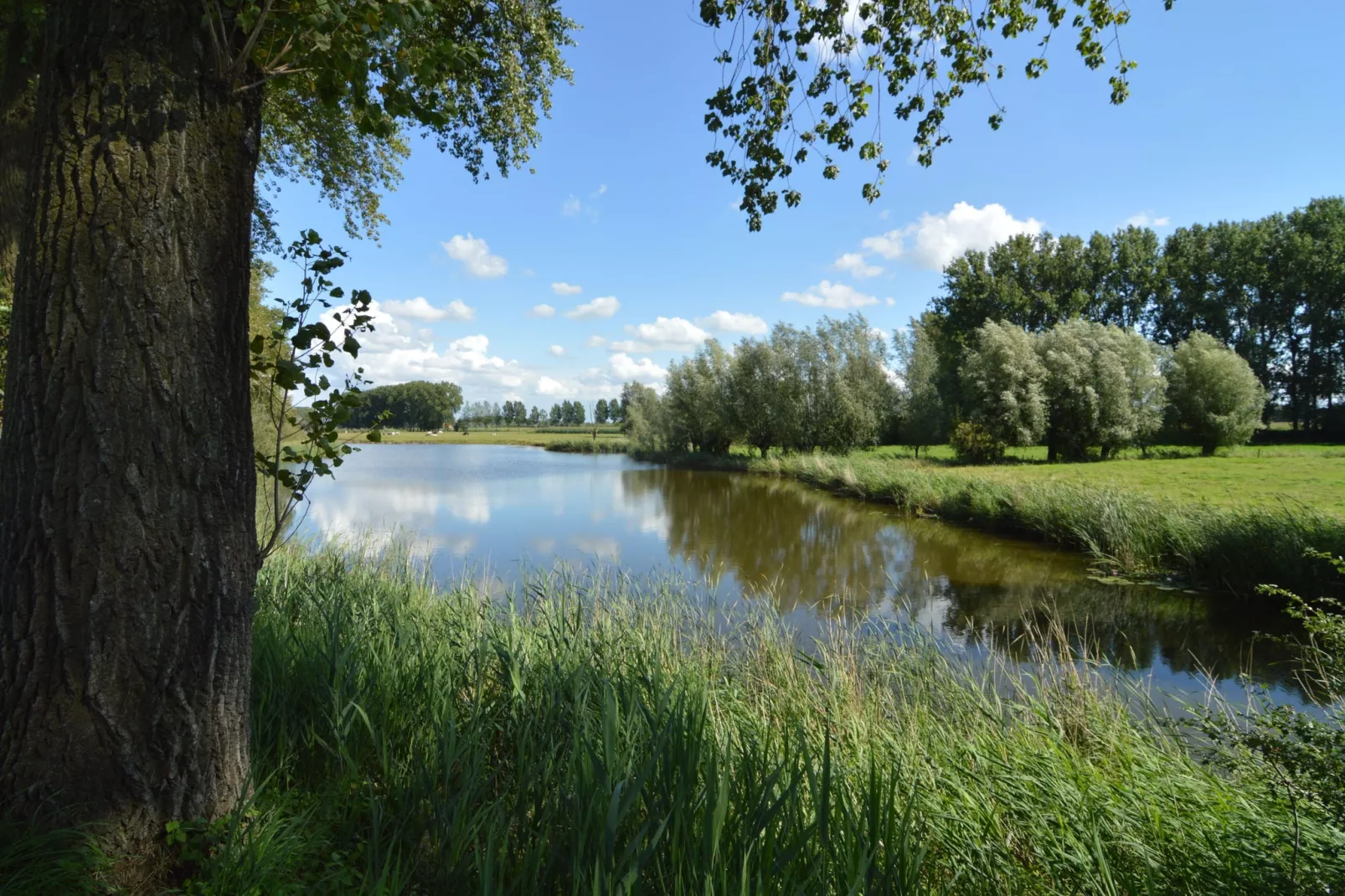 De Zonnebrug-Areas summer 1km