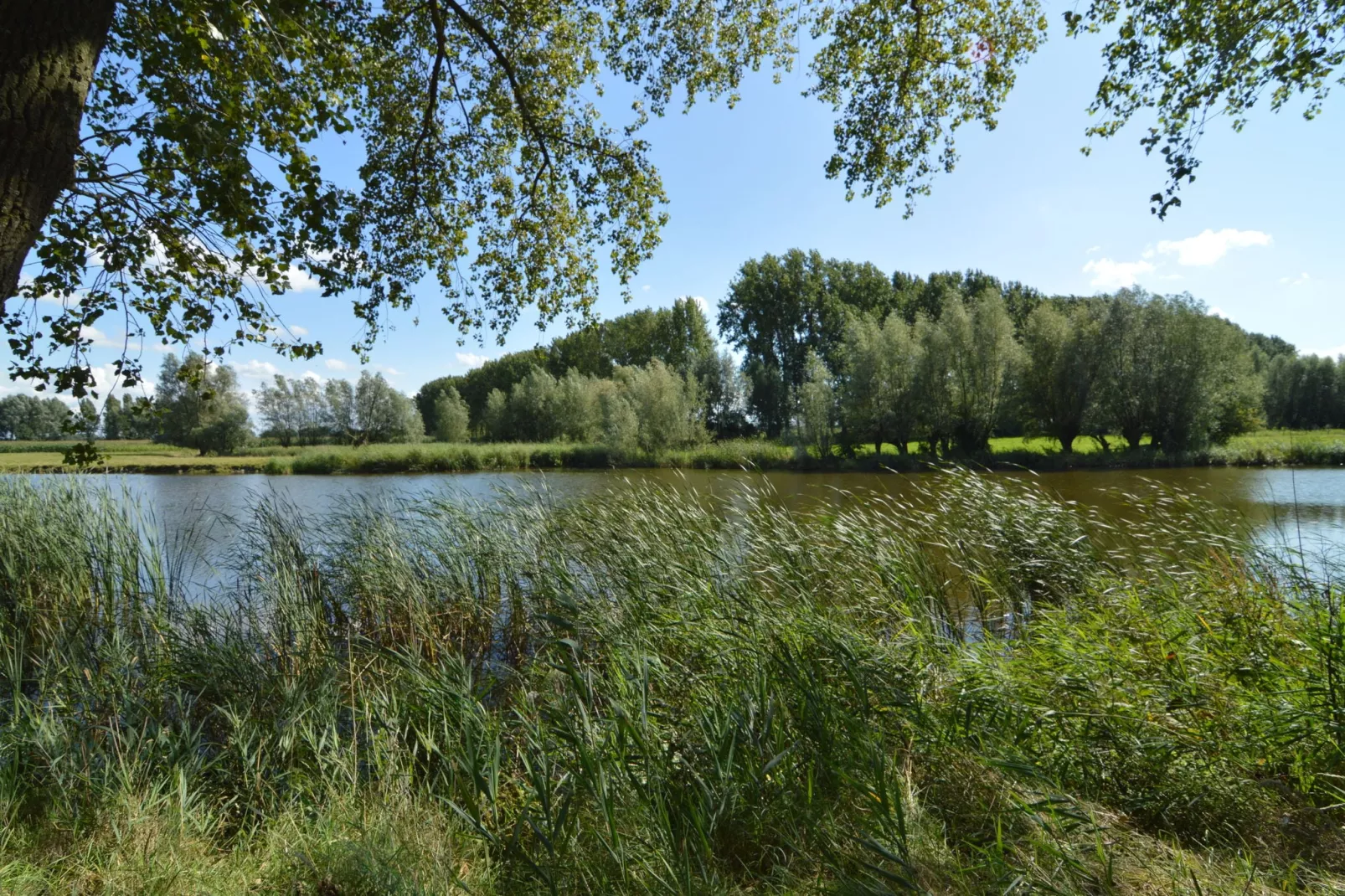 De Zonnebrug-Areas summer 1km