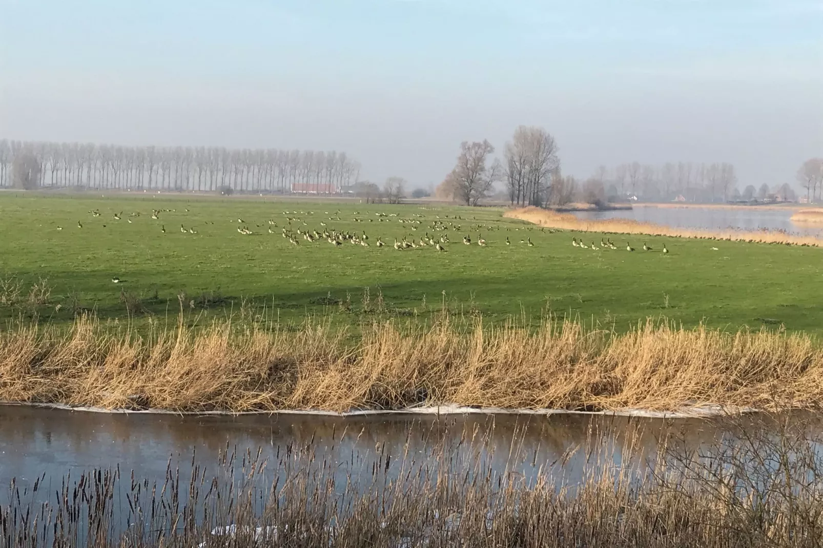 De Zonnebrug-Area winter 1km