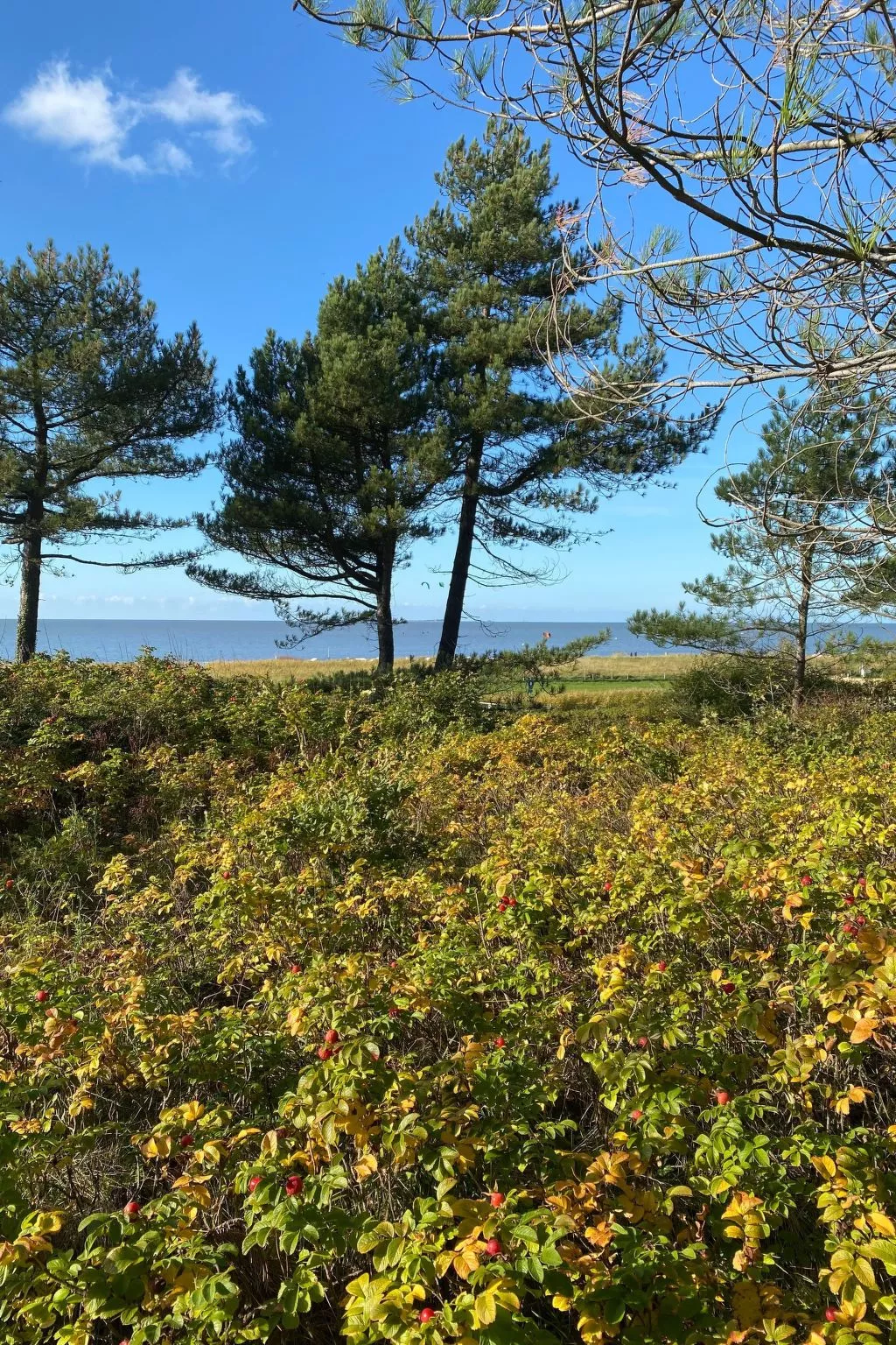 Altes Pastorenhus-Image-tags.info