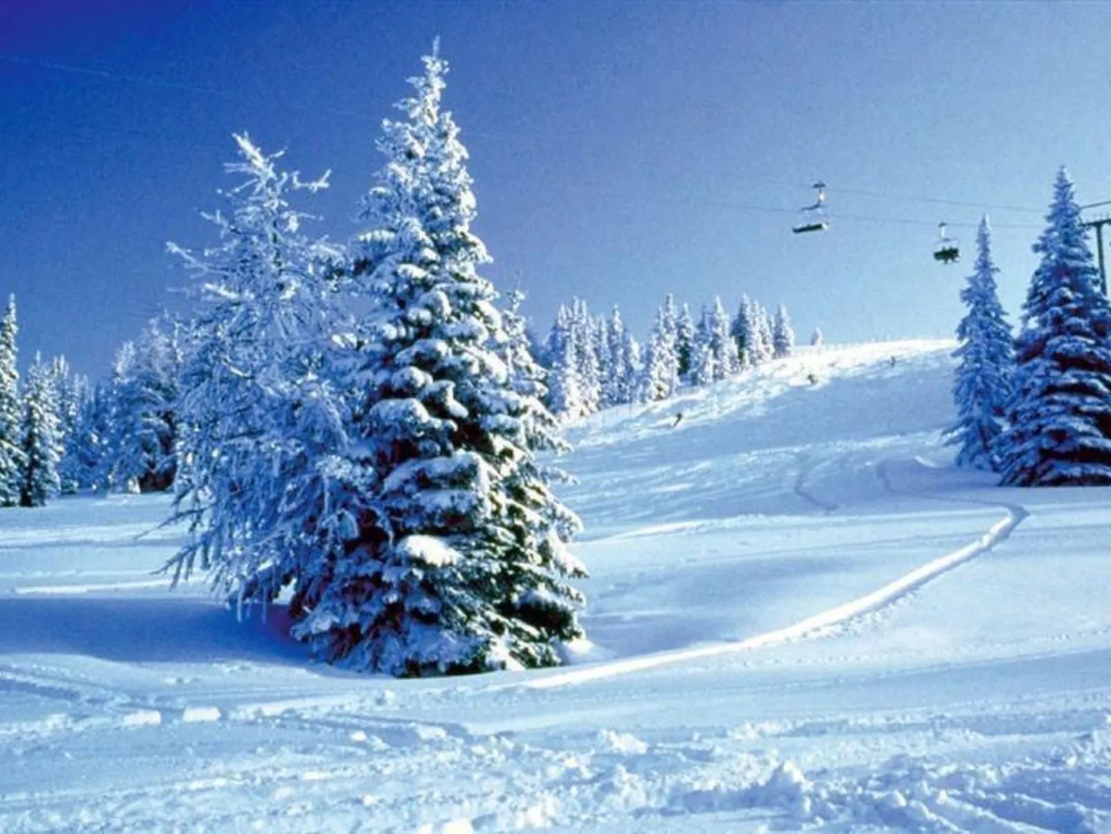 Almchalet Orter in Treffen am Ossiacher See-Draußen