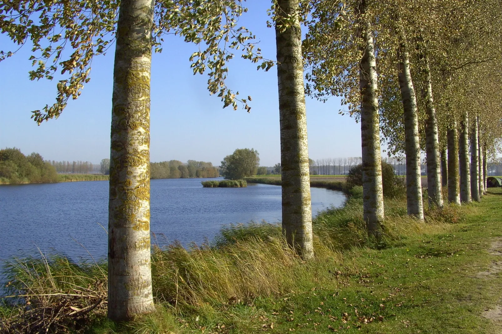 De Zonnebrug-Areas summer 1km