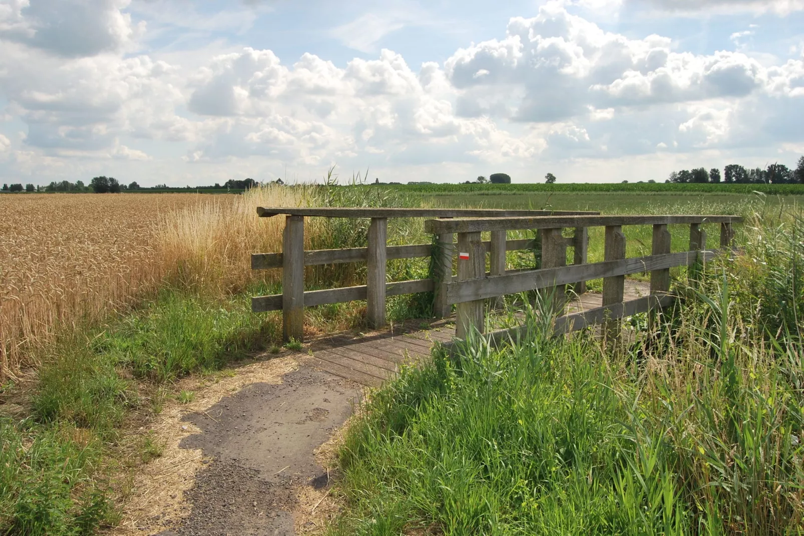 De Zonnebrug-Areas summer 5km