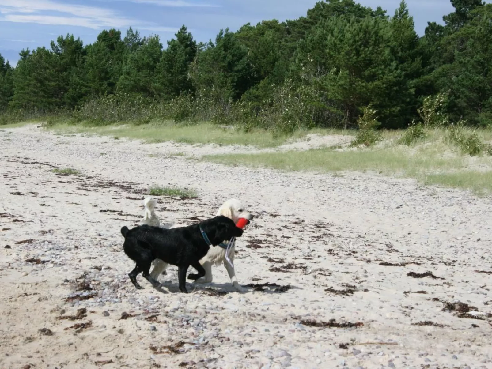 Niedliches Schwedenhaus.-Draußen