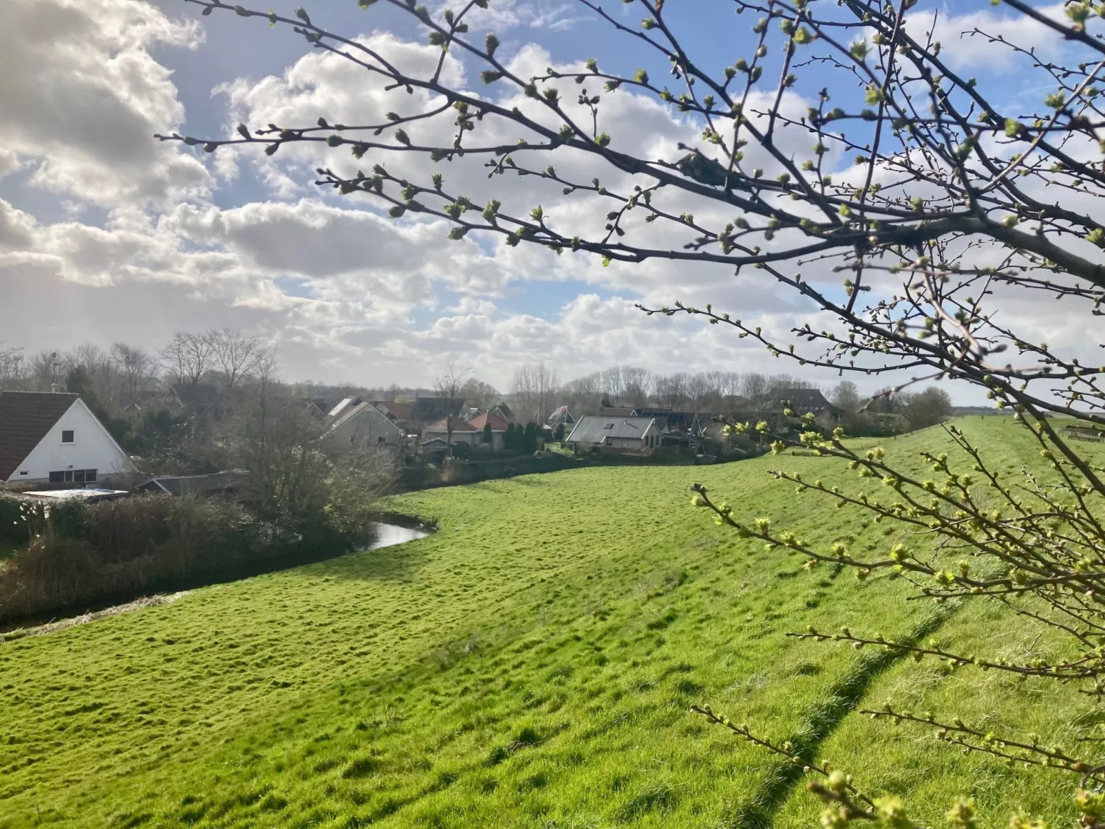 120 Dijkrose-Draußen