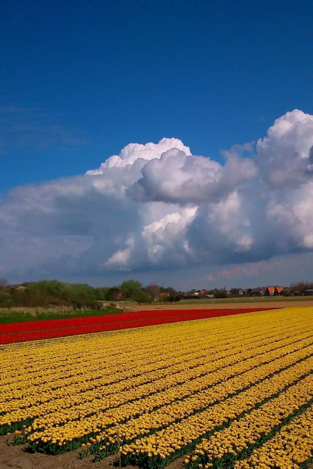 Sommerhaus "De Zeester"-Outside