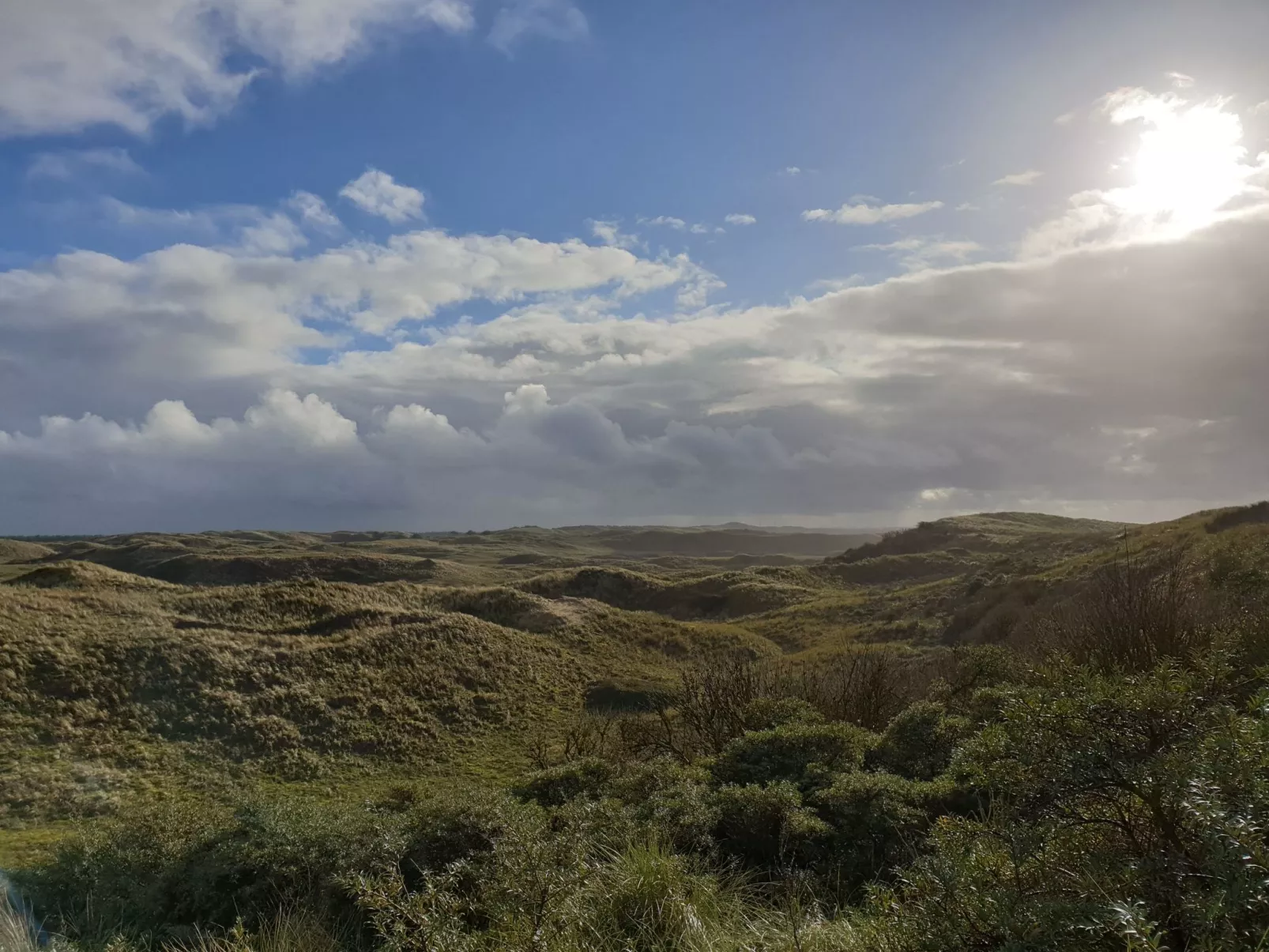 Sommerhaus in ruhiger Lage mit privatem Garten und Terrasse-Outside