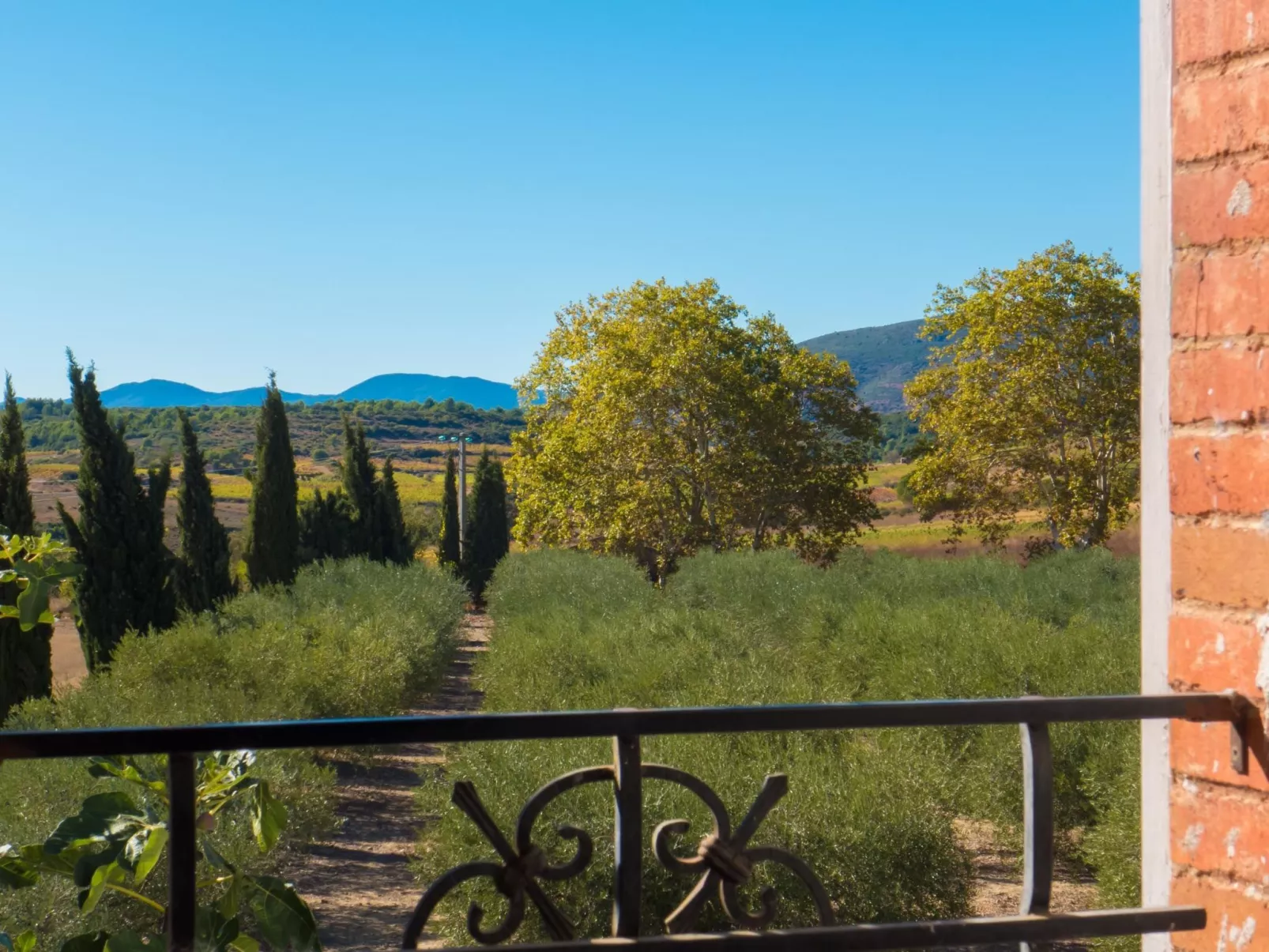 In Murviel-les-Béziers,-Draußen