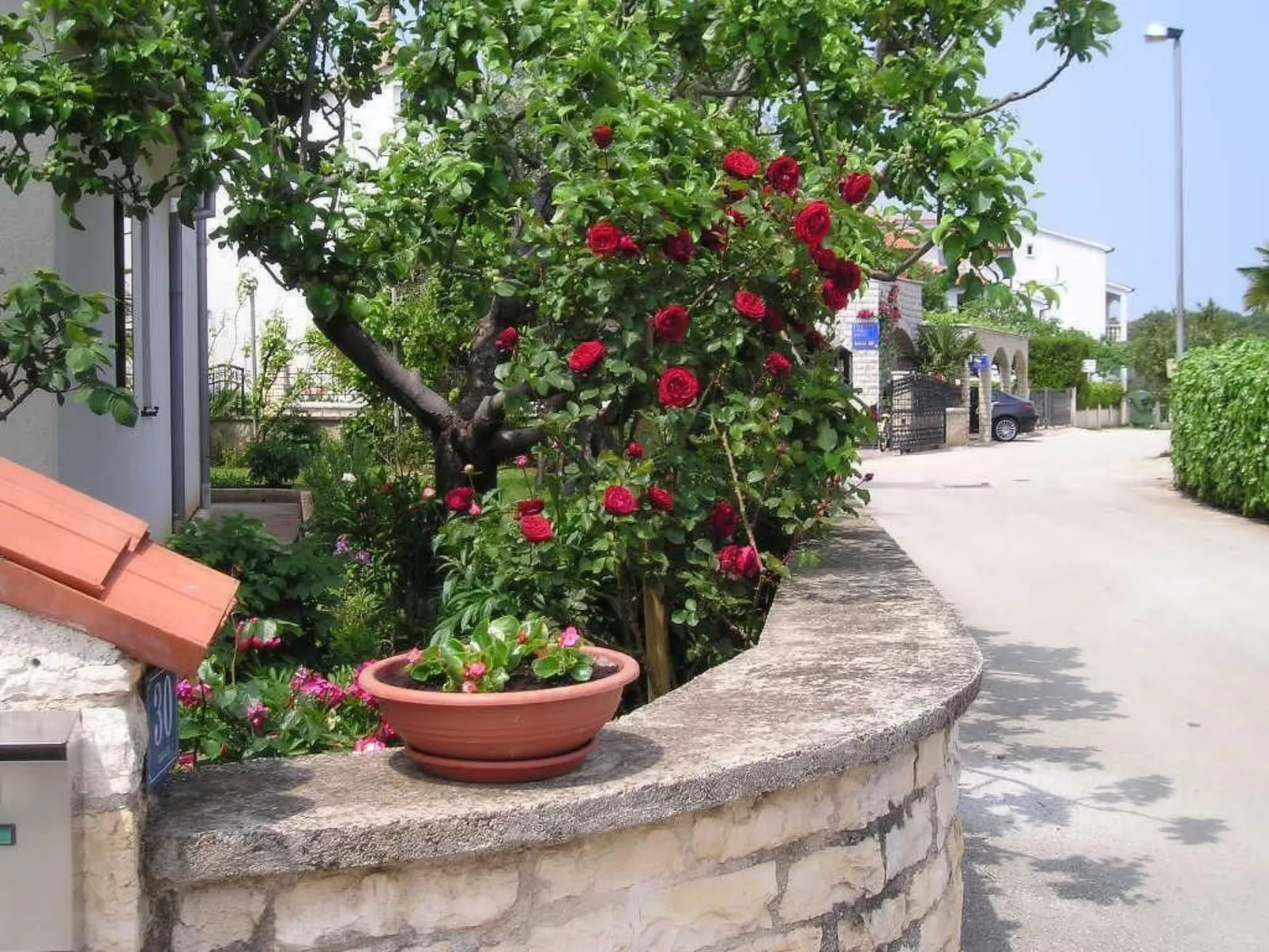 "Gemütlicher Garten" mit Terrasse-Draußen