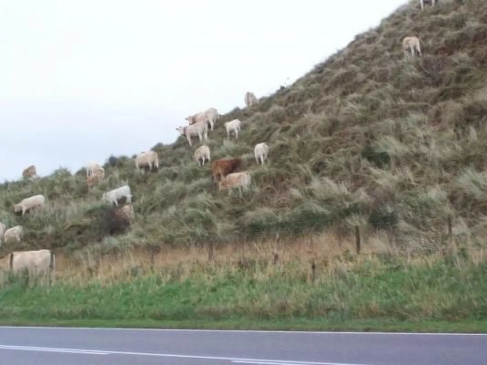Gemütlicher Bungalow für 4 Personen-Draußen