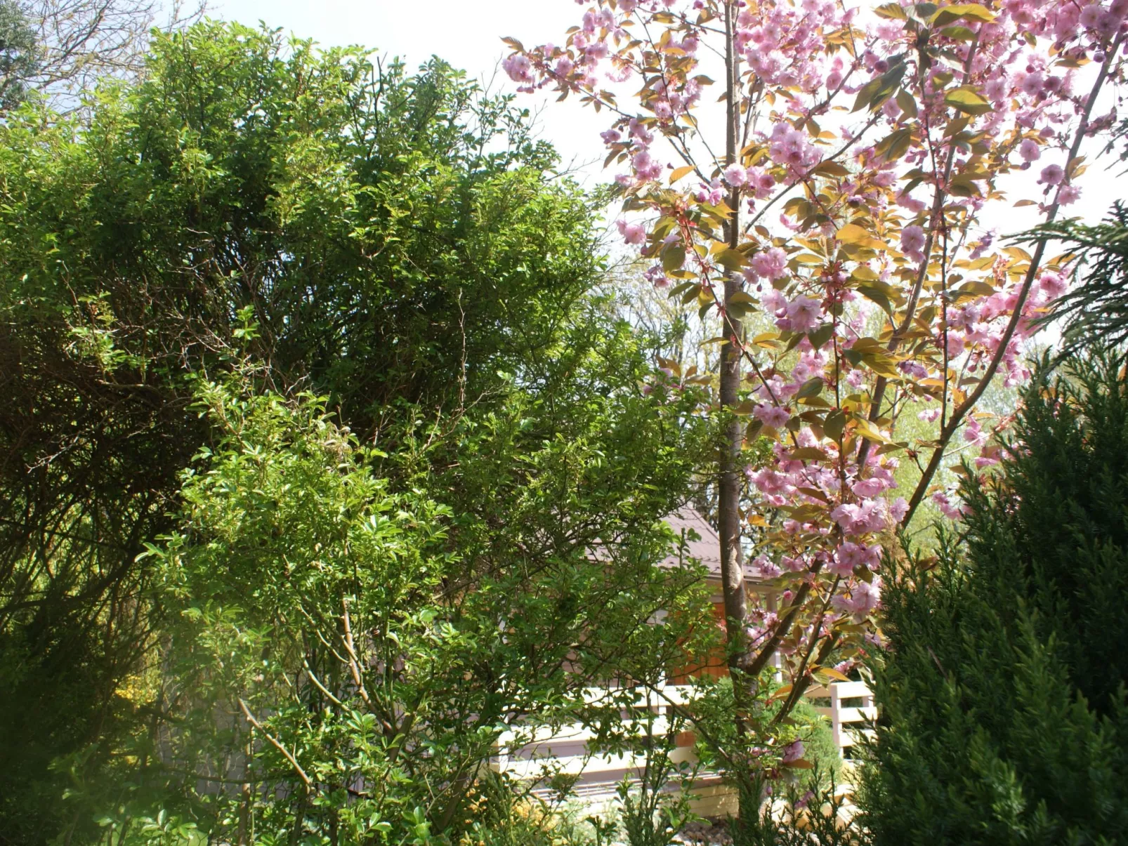 Ruhe am Meer - Ferienhäuser in den Gärten von Magra-Draußen