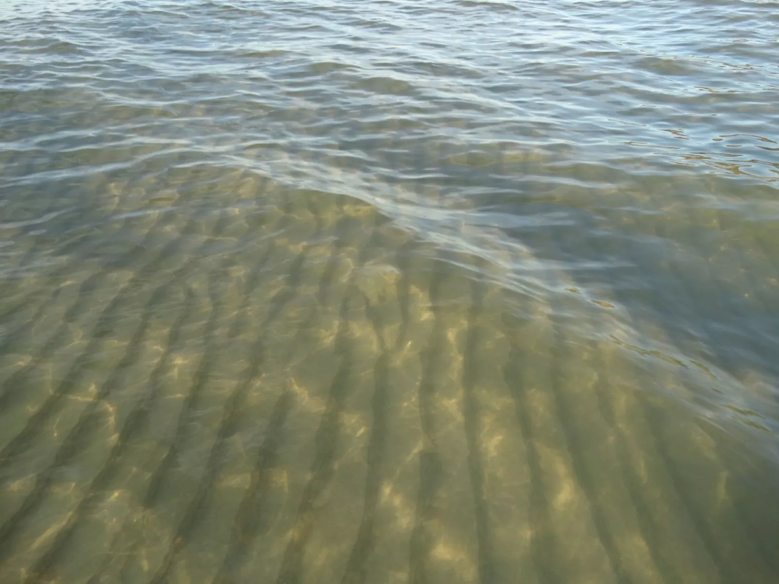 Holzferienhaus Grazyna-Image-tags.info