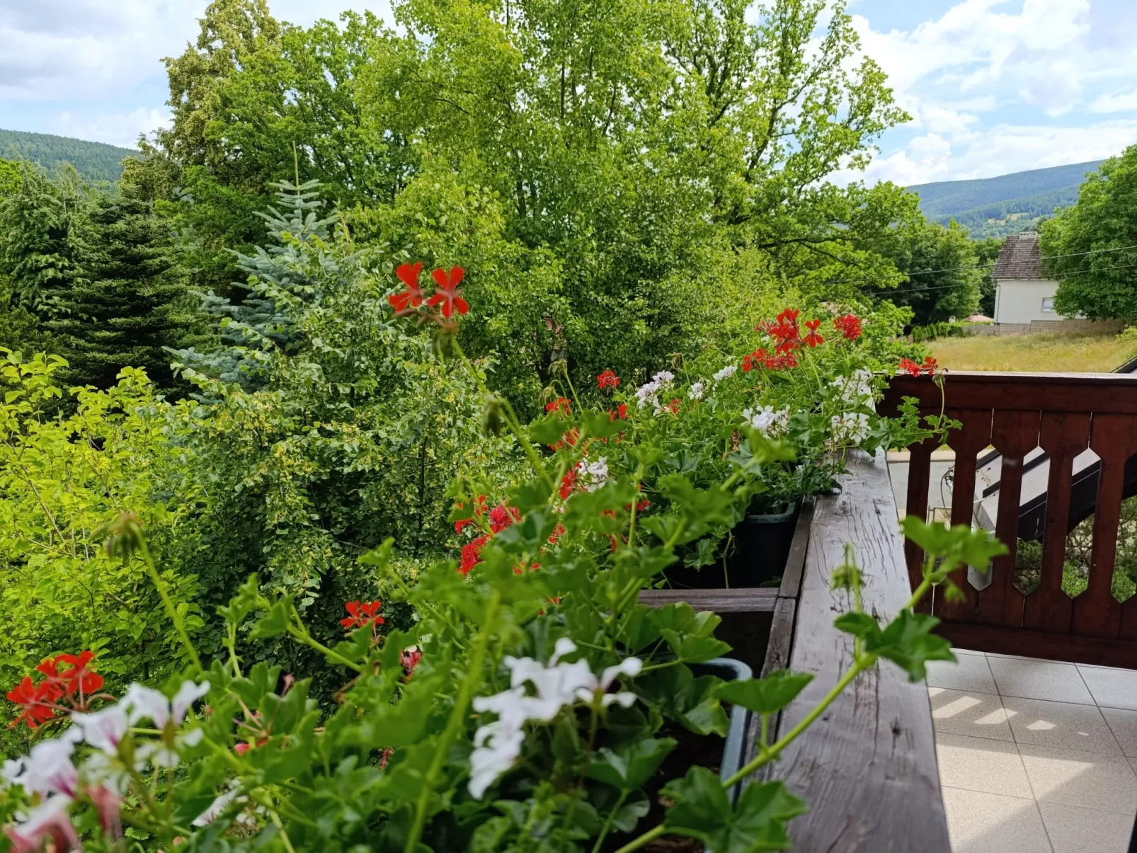 Wohnung Nr. 1-Dehors