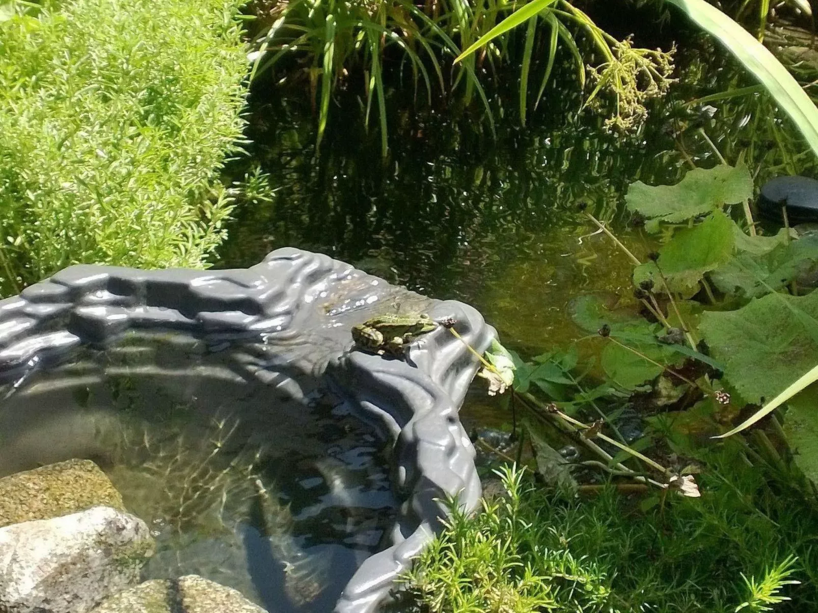 Am Apothekerberg-Image-tags.info