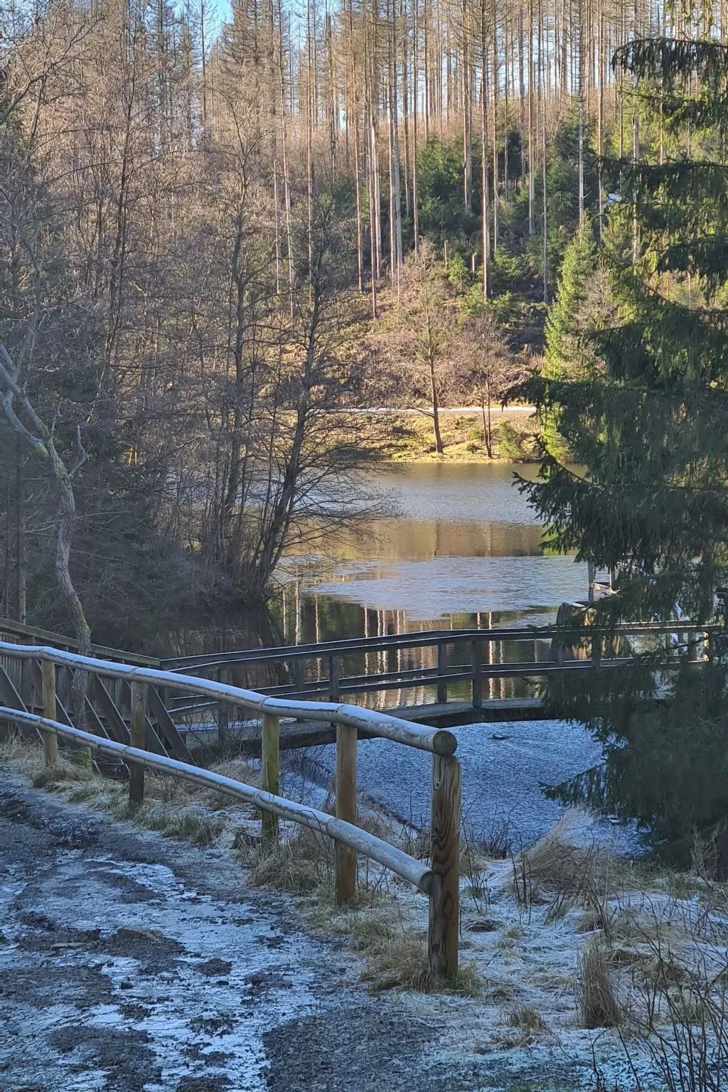 Fewo Jola 99952-Image-tags.info