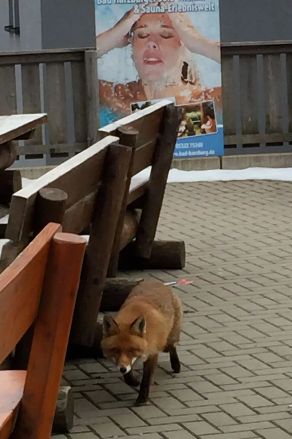 Fewo Harzblick-Image-tags.info