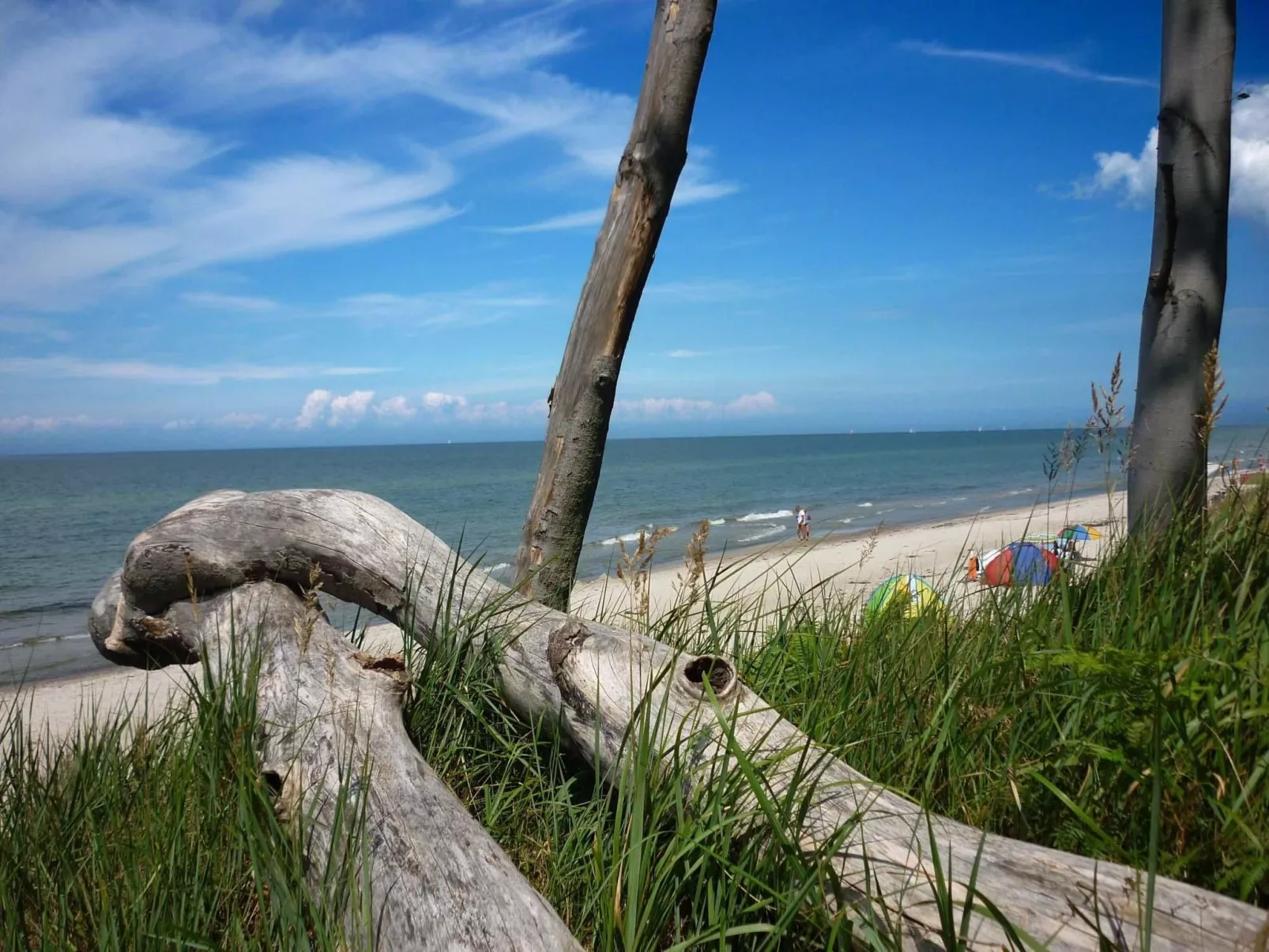 Komfort Ferienhaus mit Sauna und Kamin, auf großem Waldgrundstück, in absoluter-Outside