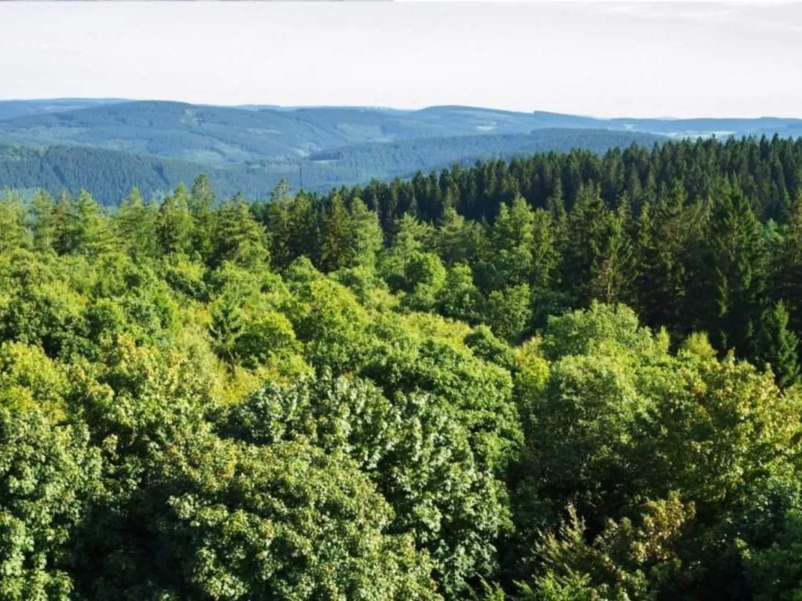 Charmantes Ferienhaus Iris im Waldecker Land-Draußen