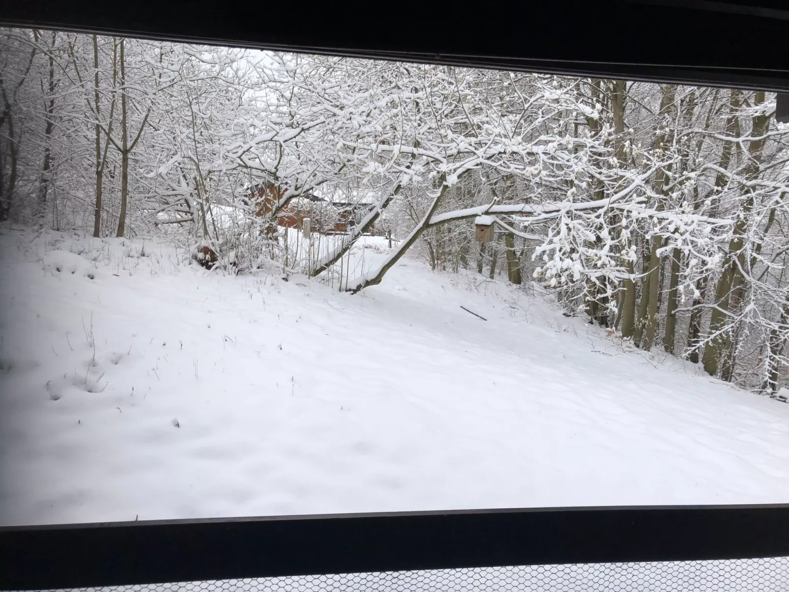 Wunderschönes Ferienhaus am Waldrand-Outside
