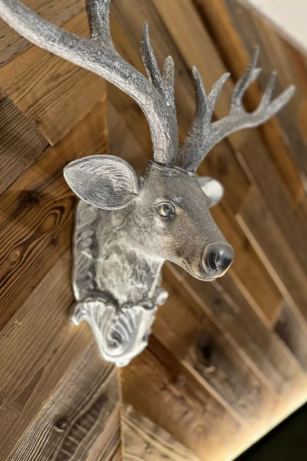 Zandtissimo79-Outside