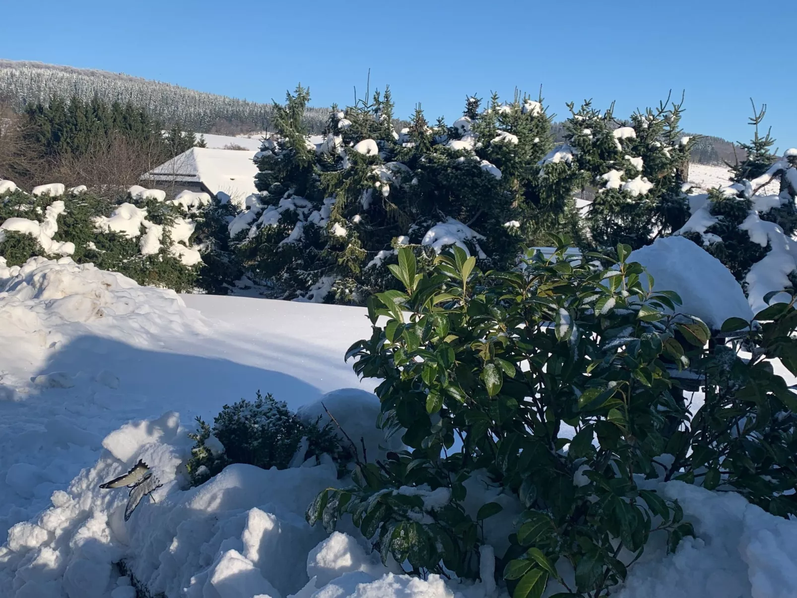 Mit eigener Terrasse-Outside