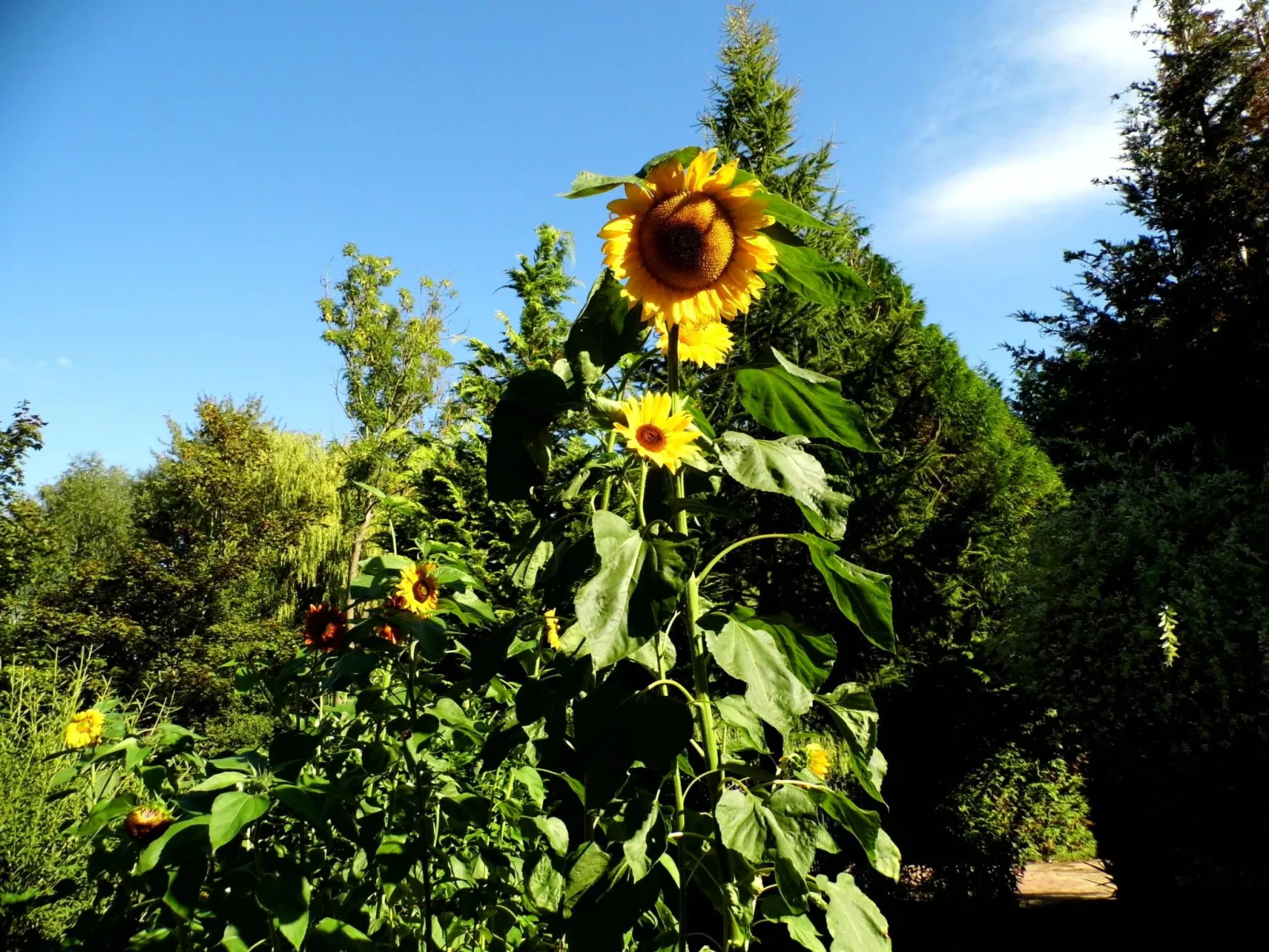 Am malerischen Nepperminer See-Outside