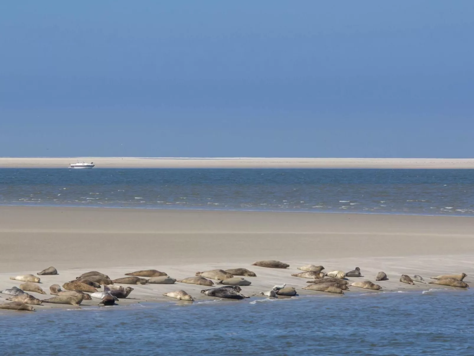 Tinis Huus ant Siel - Image-tags.info