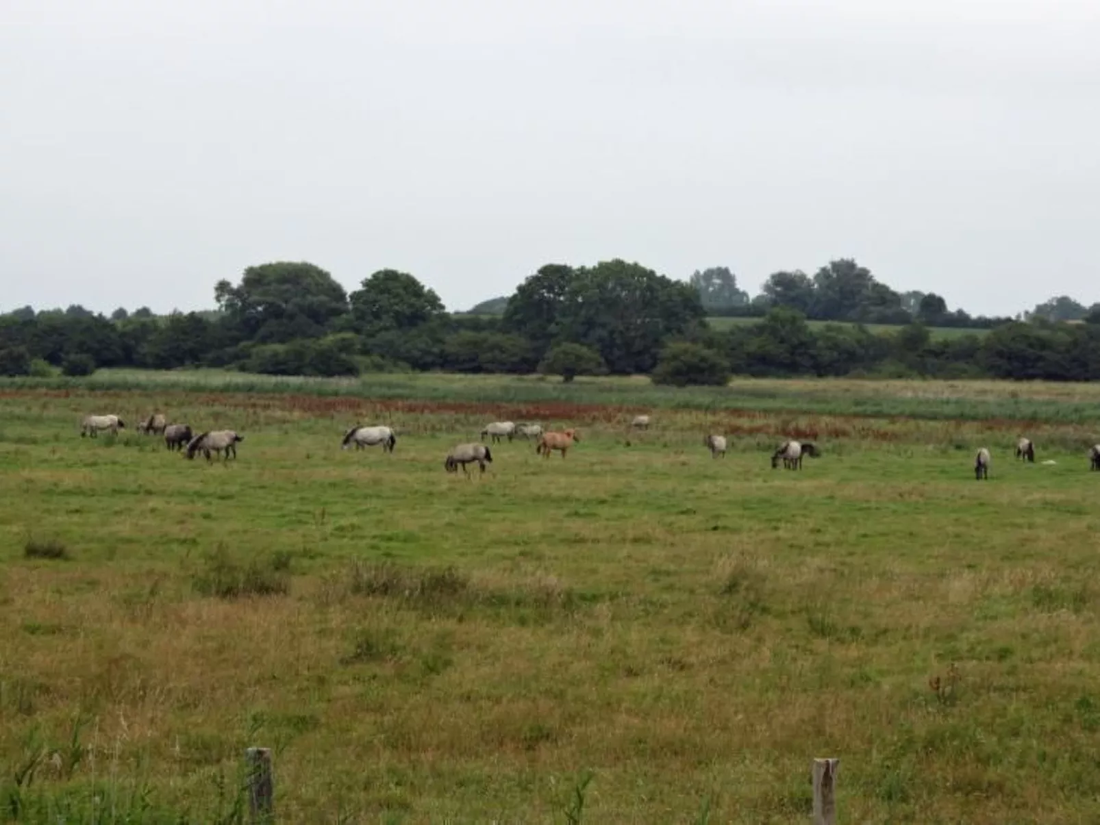 Sabricke-Image-tags.info