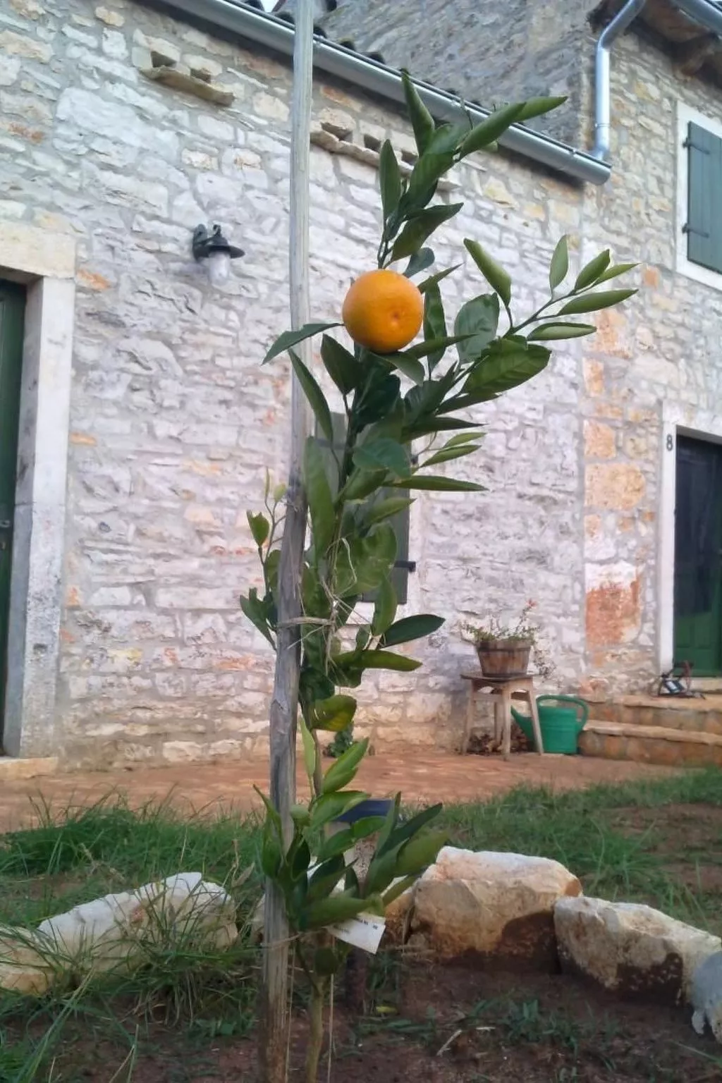 In Bratulići mit Privatem Pool-Dehors