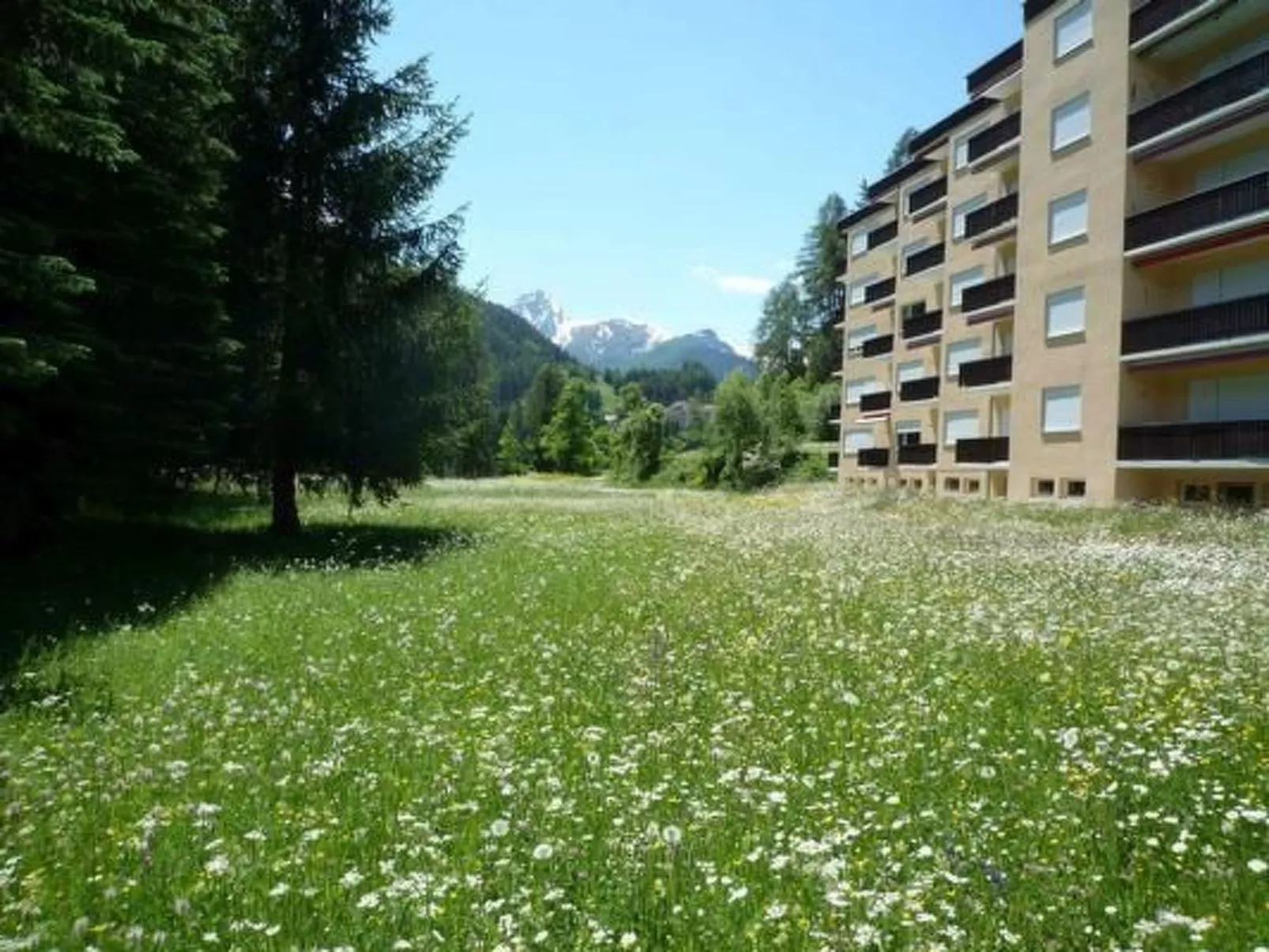 Relaxing Holidays-Dehors