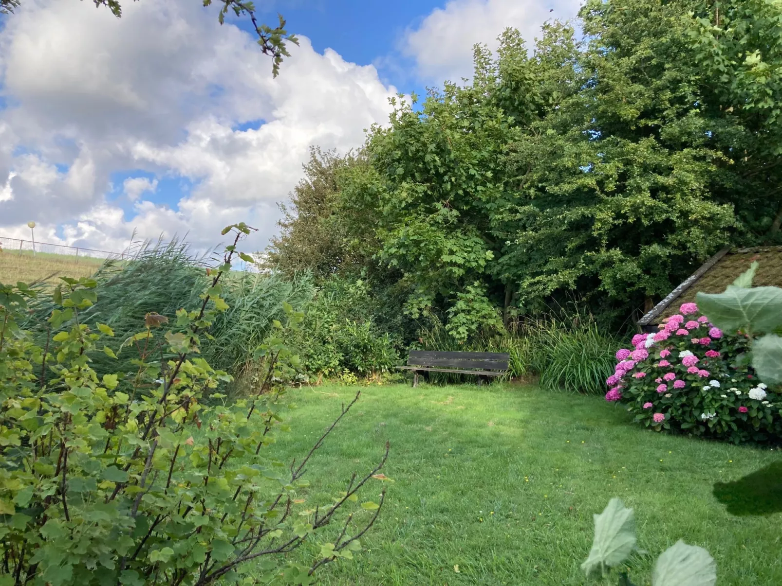 Haus am Deich!-Draußen