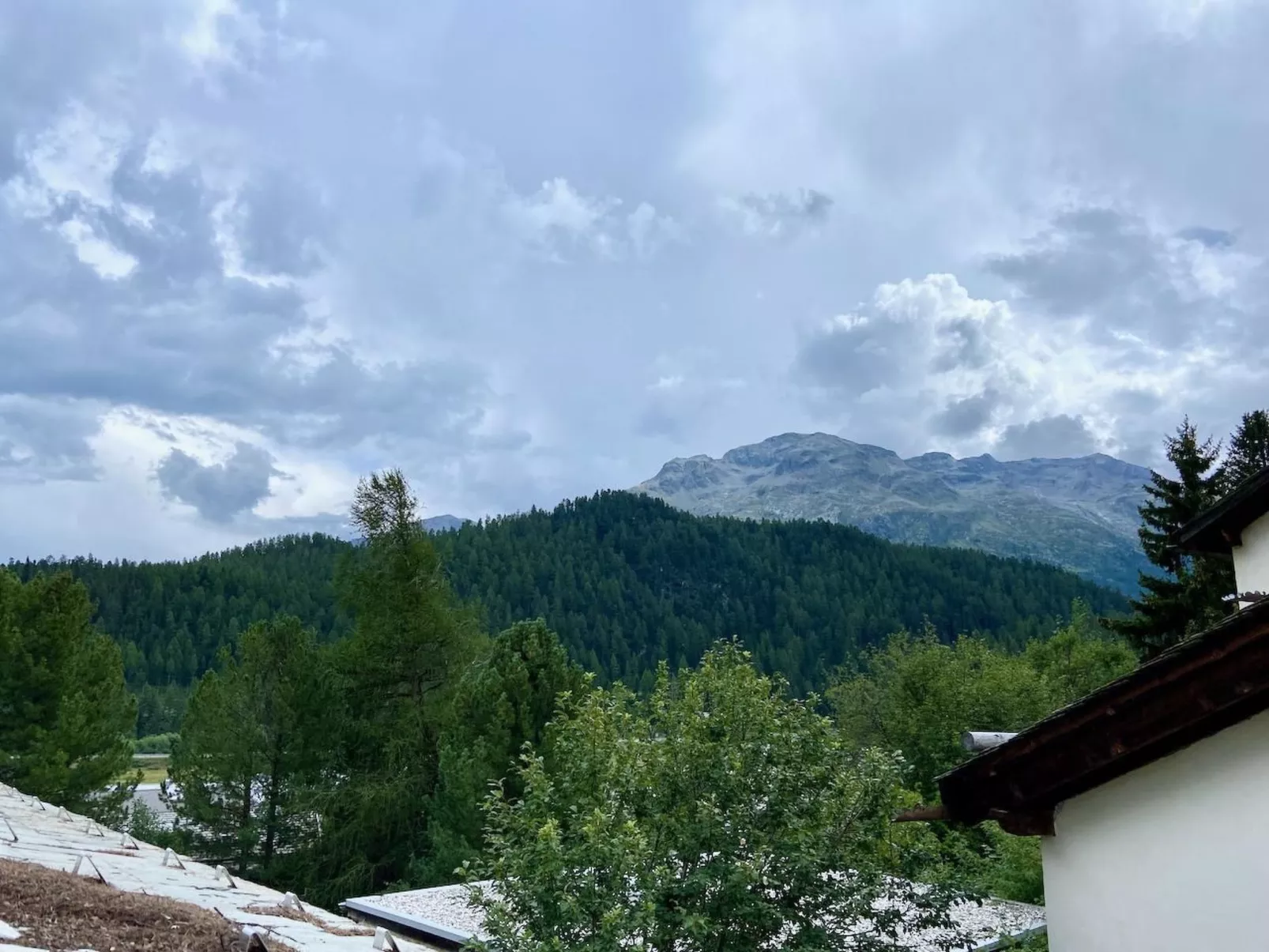 The Green Hut-Dehors