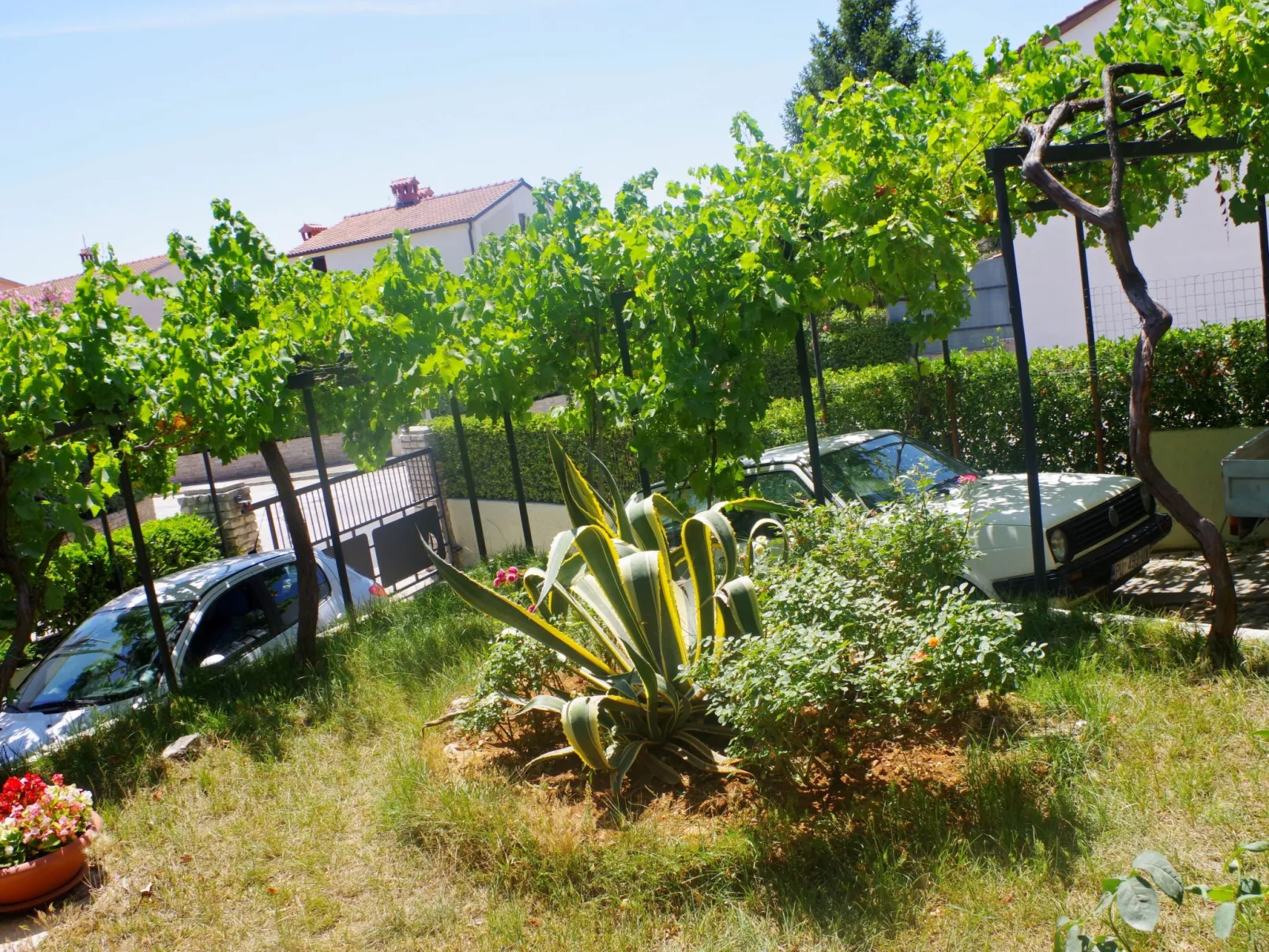 Wohnung in Pješčana Uvala, 500 m vom Strand entfernt-Image-tags.info