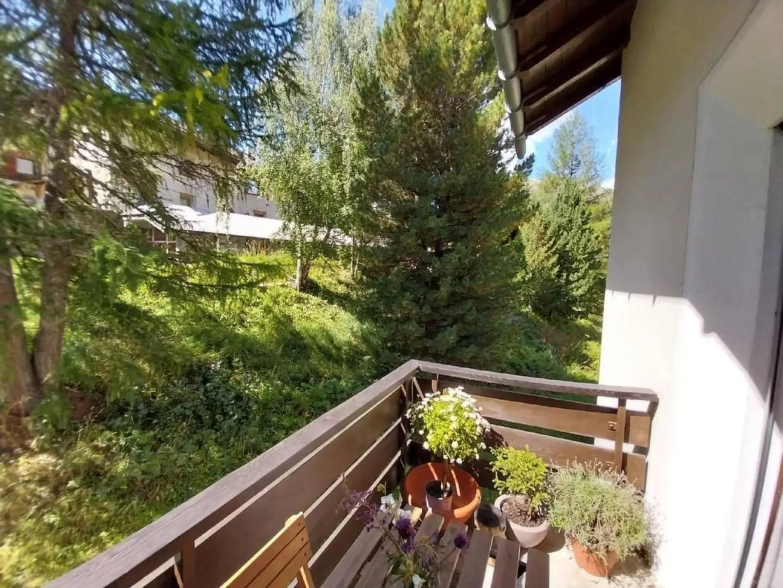 Chesa Susanna-Image-tags.info