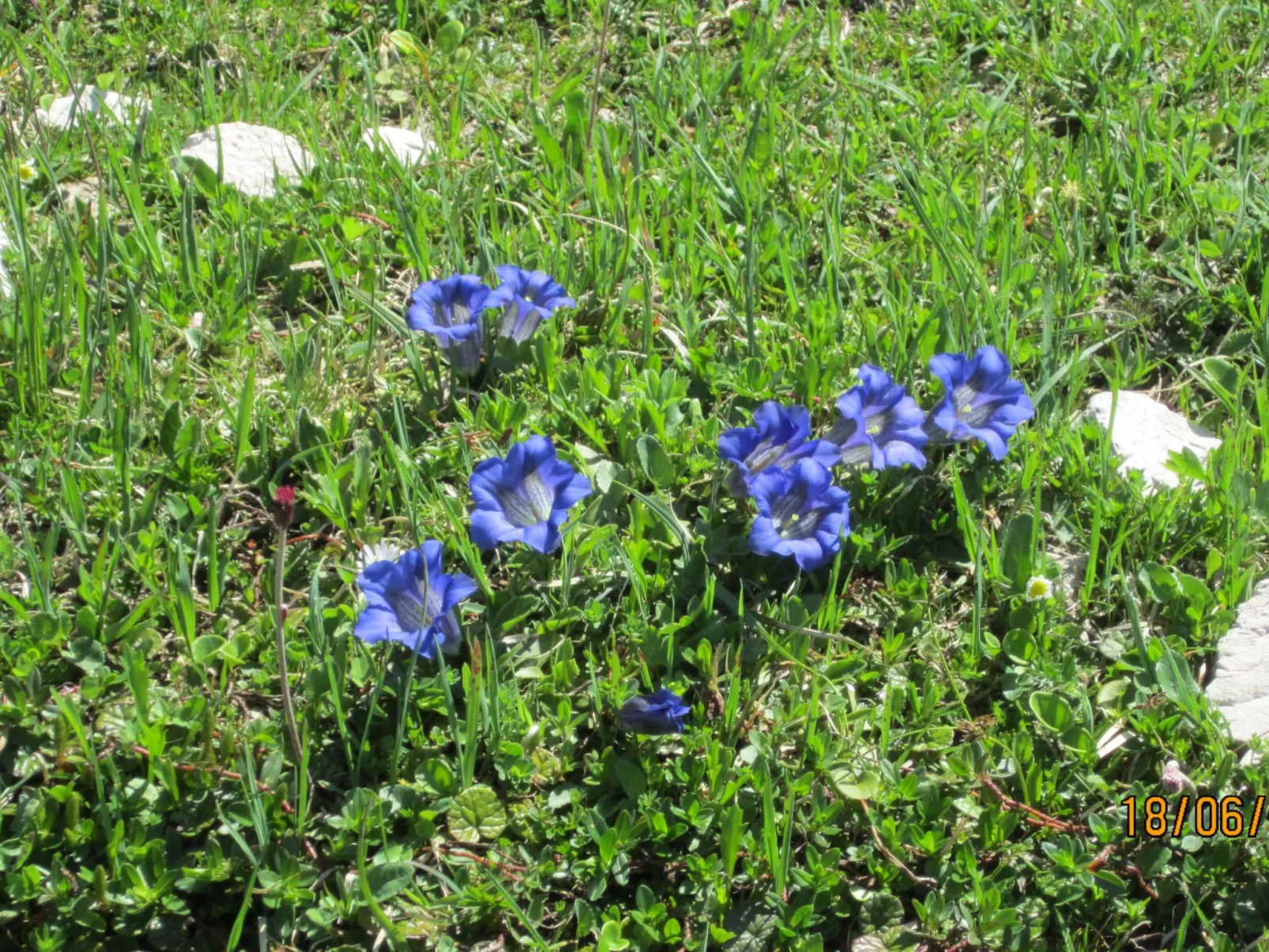 Ferienwohnungen Hohl-Dedans