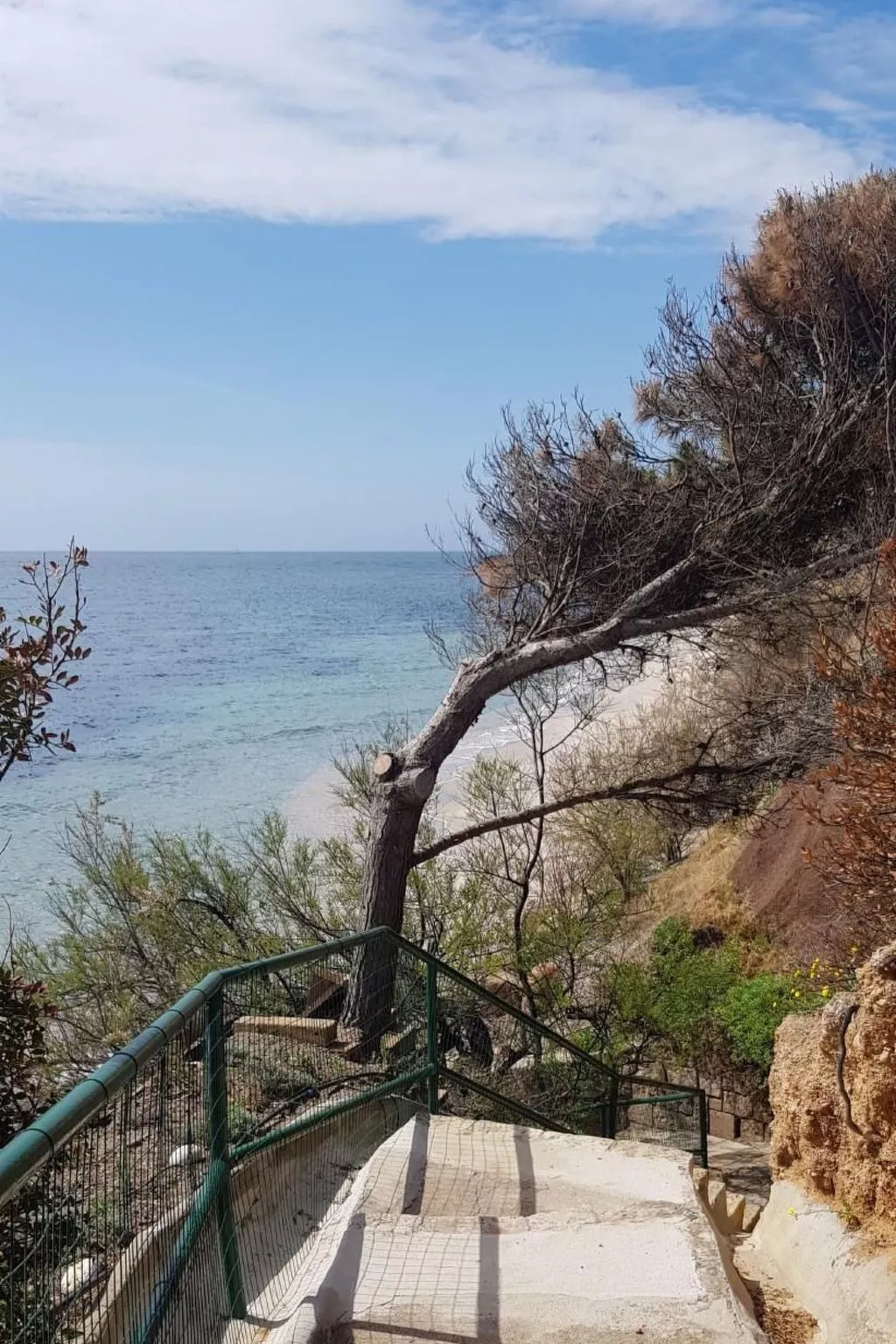 Mare e Pineta-Drinnen