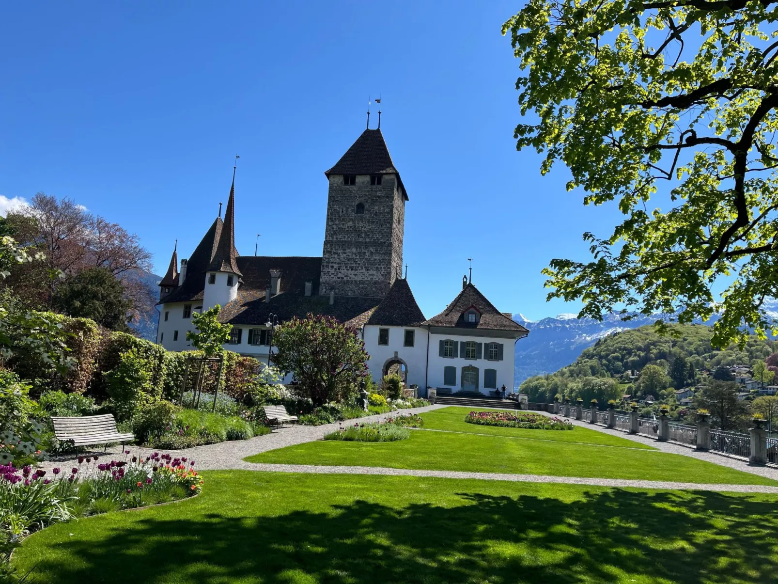 Pfrundmatte 12-Draußen