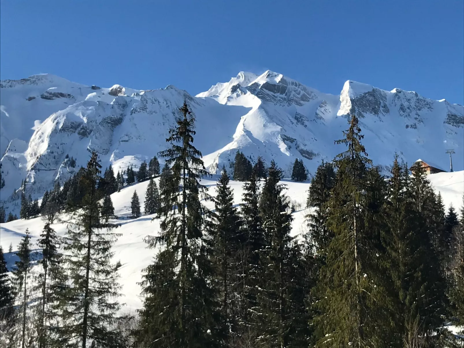 Chalet Föhrli-Outside