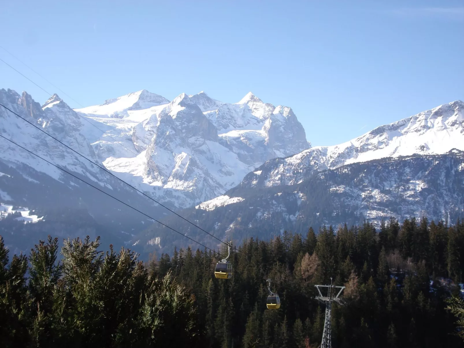 Schaad 4-Bett-Wohnung-Image-tags.info