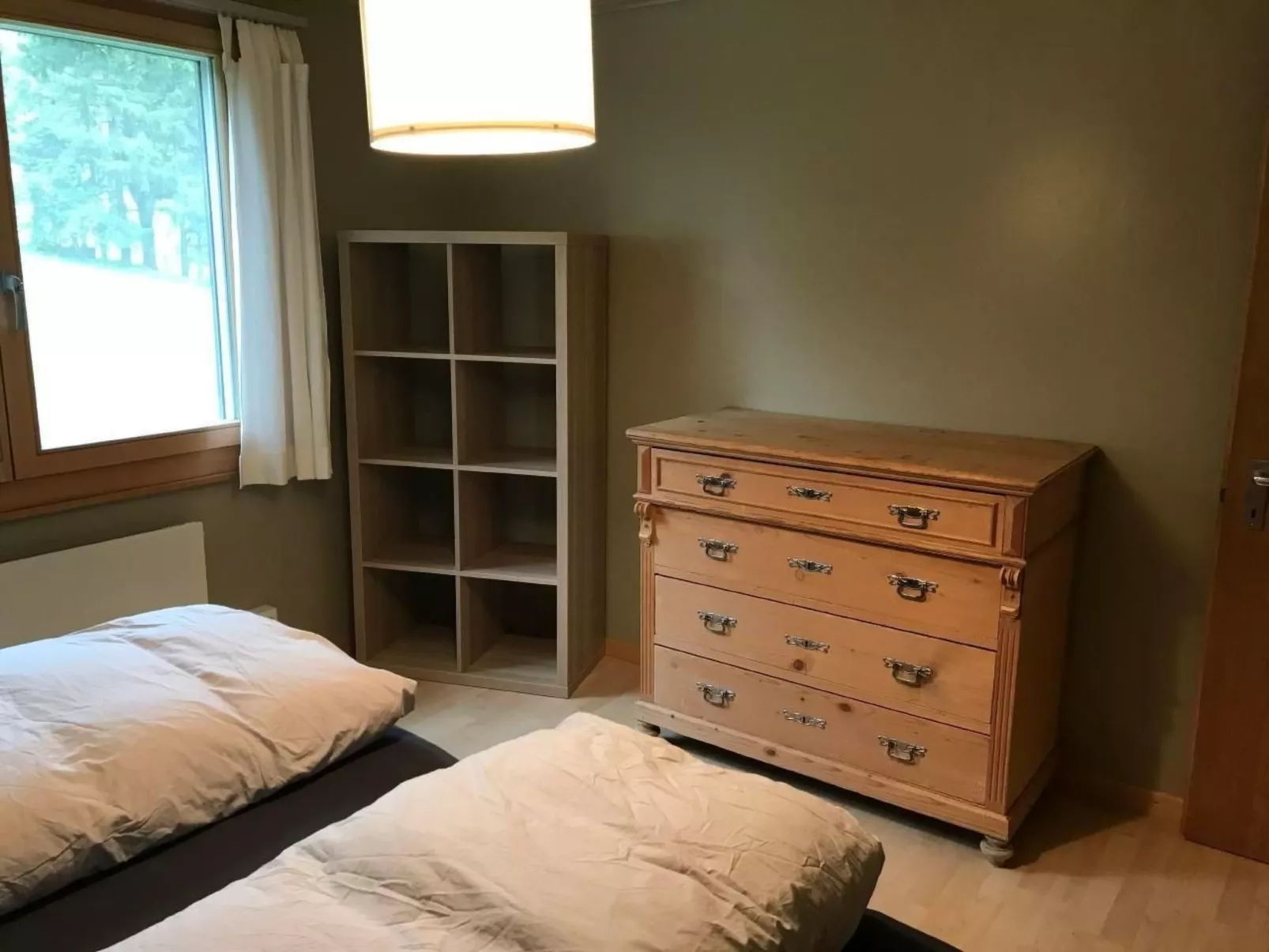 Soldanella-Image-tags.info