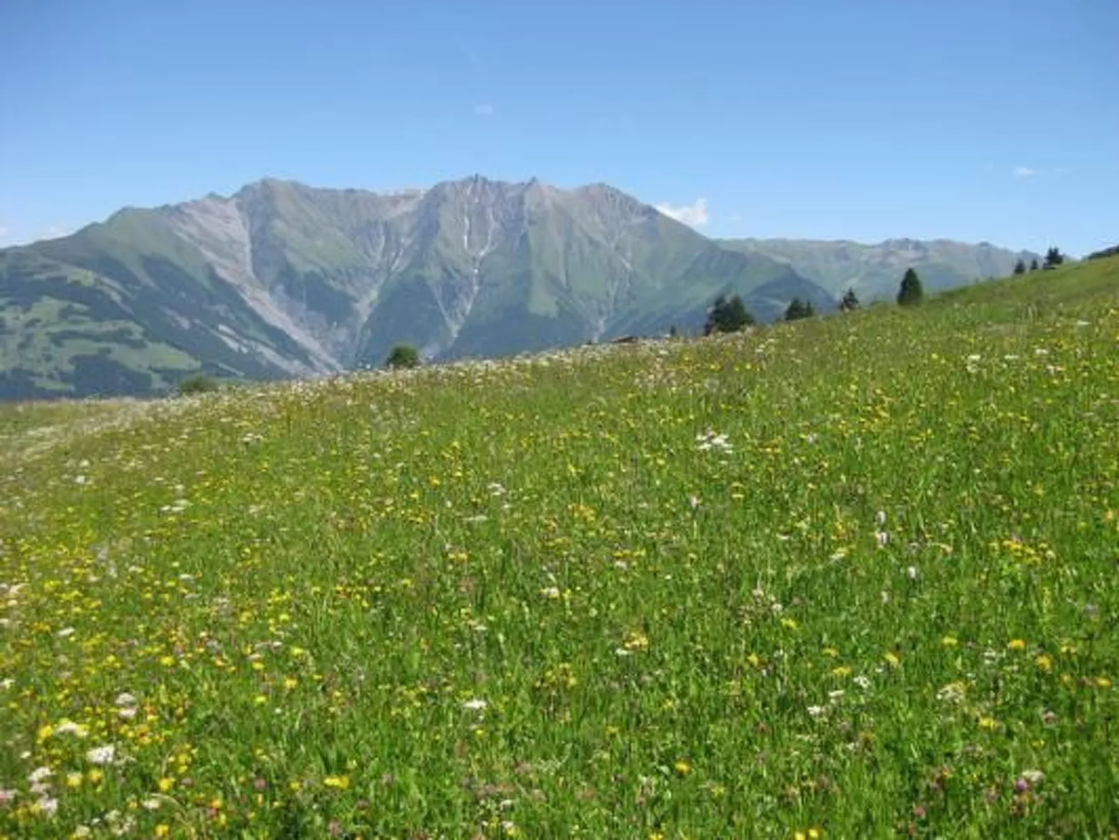 Aparthaus Surselva, direkt an der Skipiste-Dehors