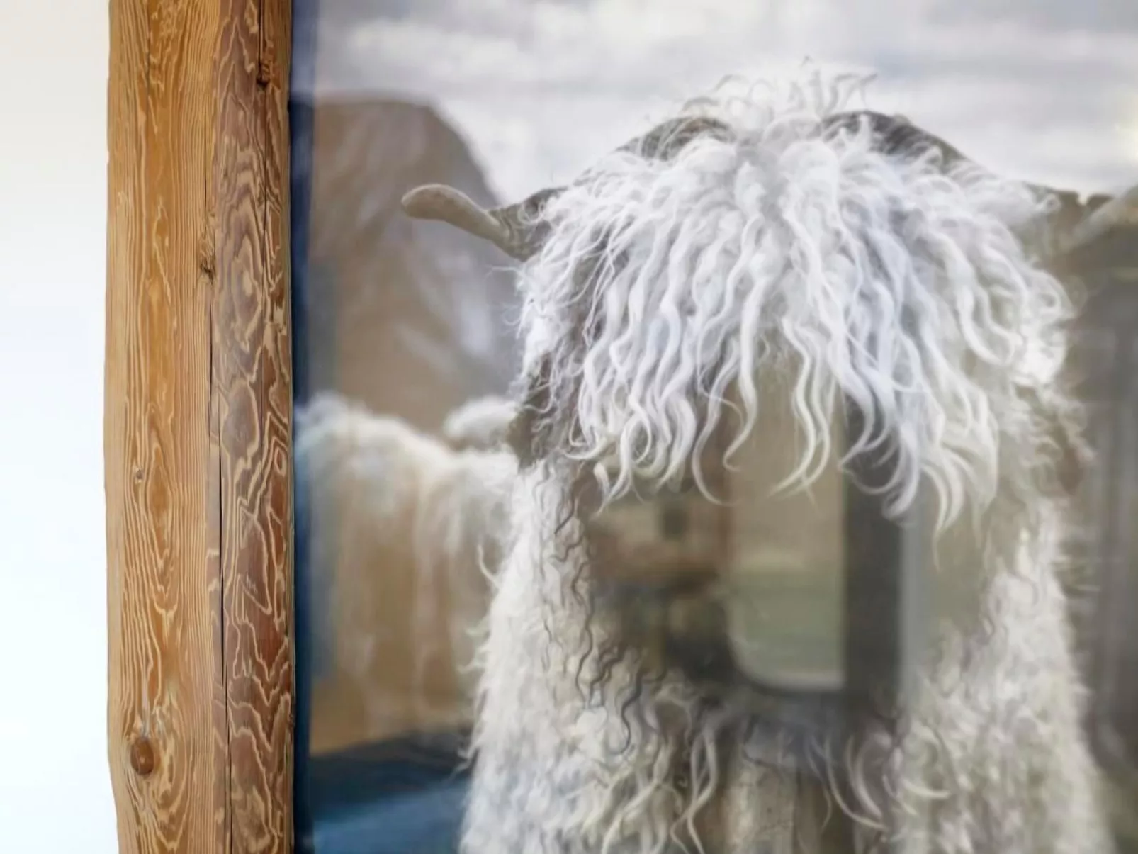 Schwarzhorn-Draußen