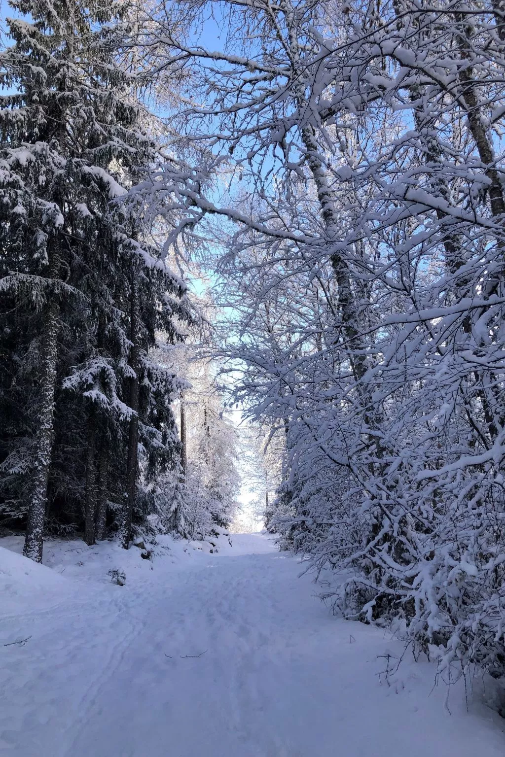 Chalet Veilchen-Draußen