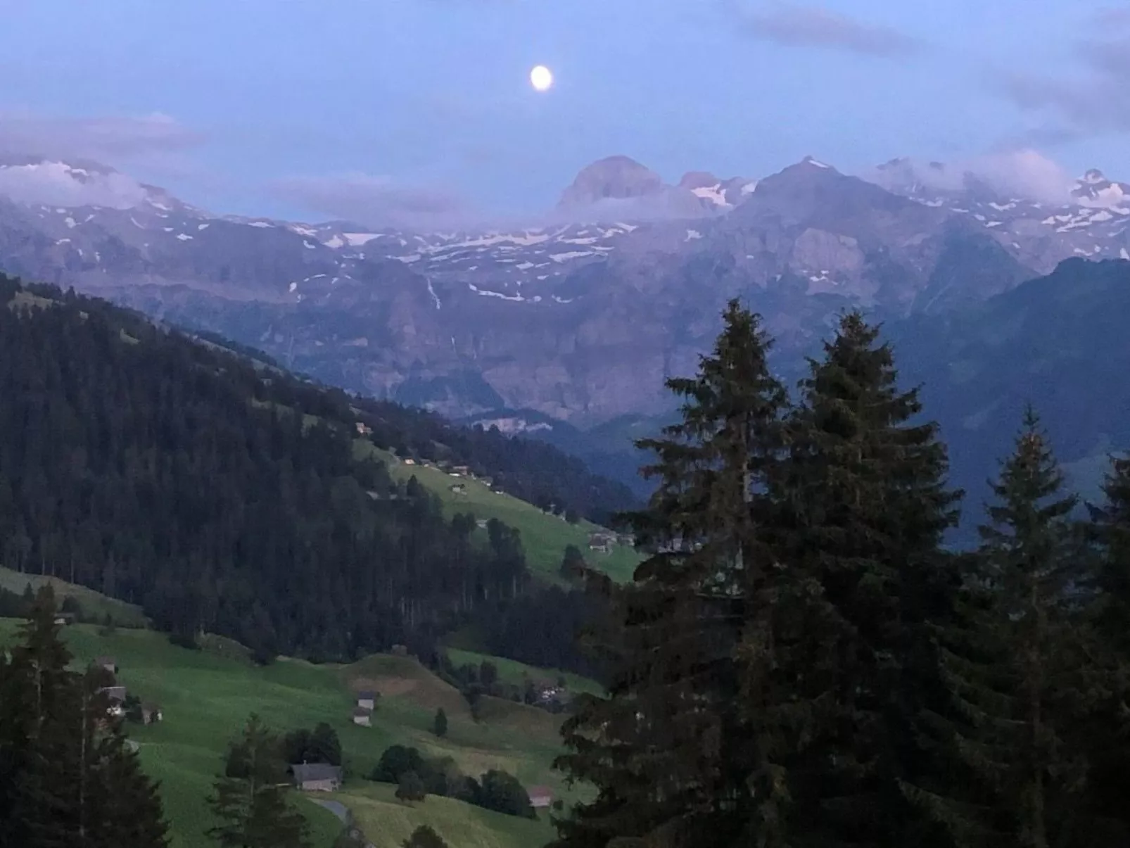 Waldweid-Image-tags.info