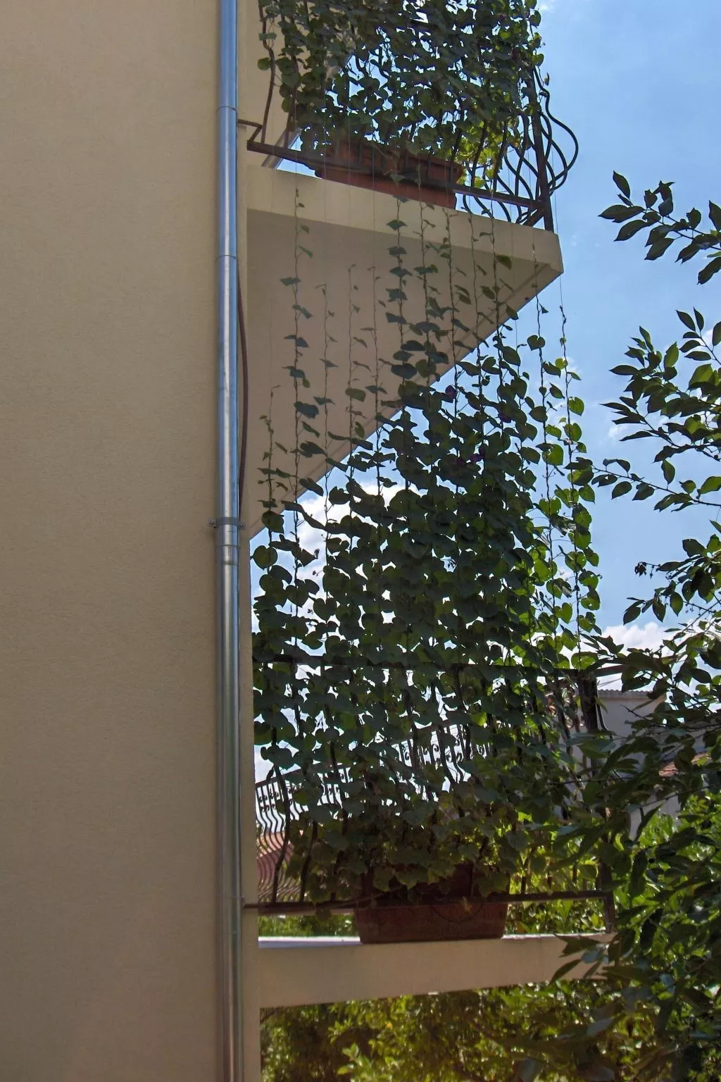 Wohnung im Hochparterre-Draußen