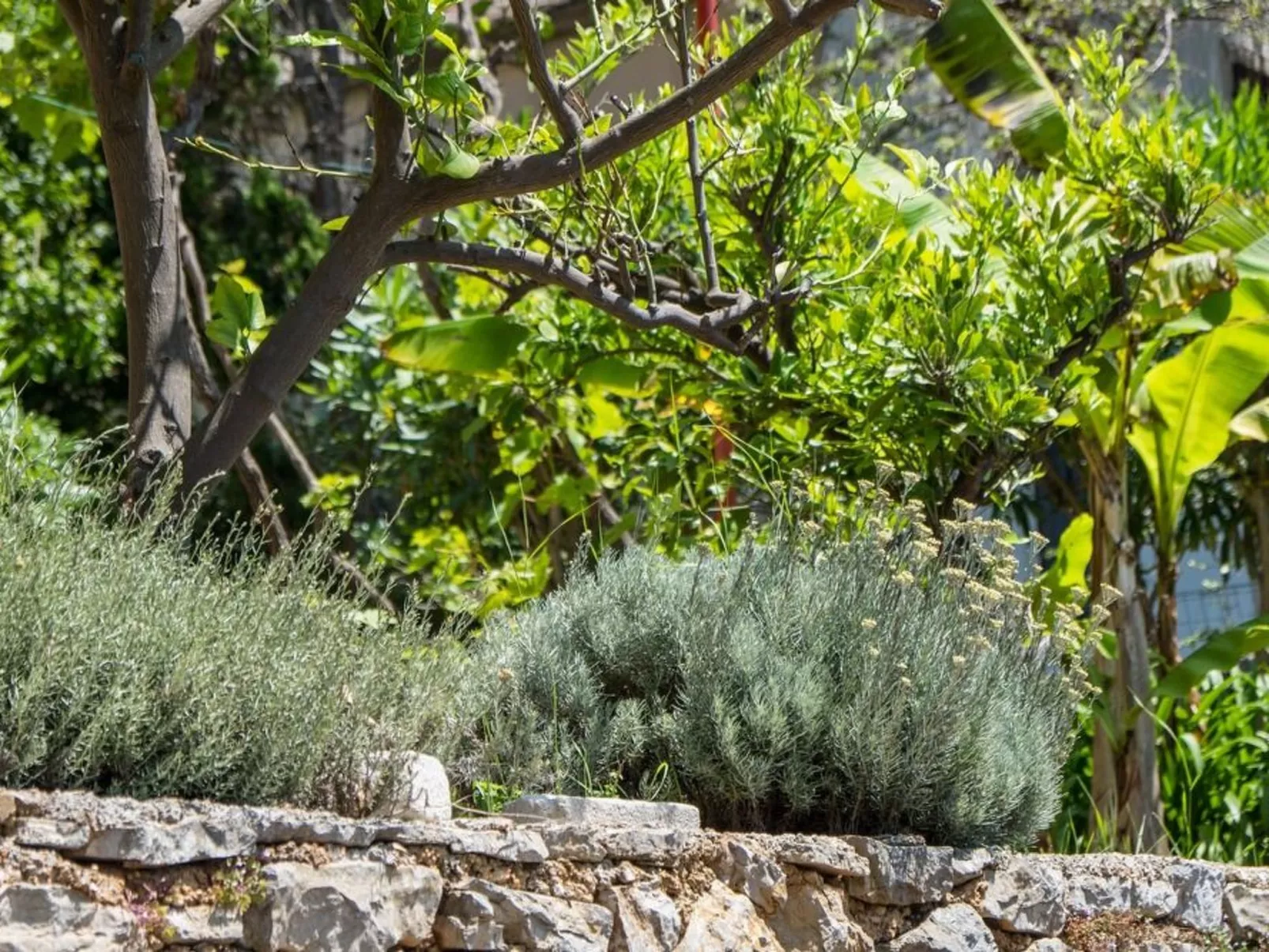 Villa Magnolia - Apartment Gardenia-Outside