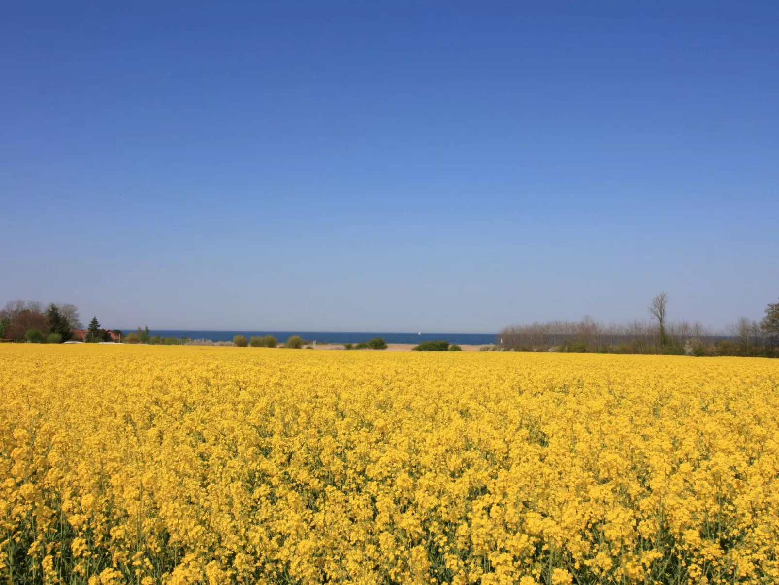 Tolle Ferienwohnung in Schönberger Strand-Draußen