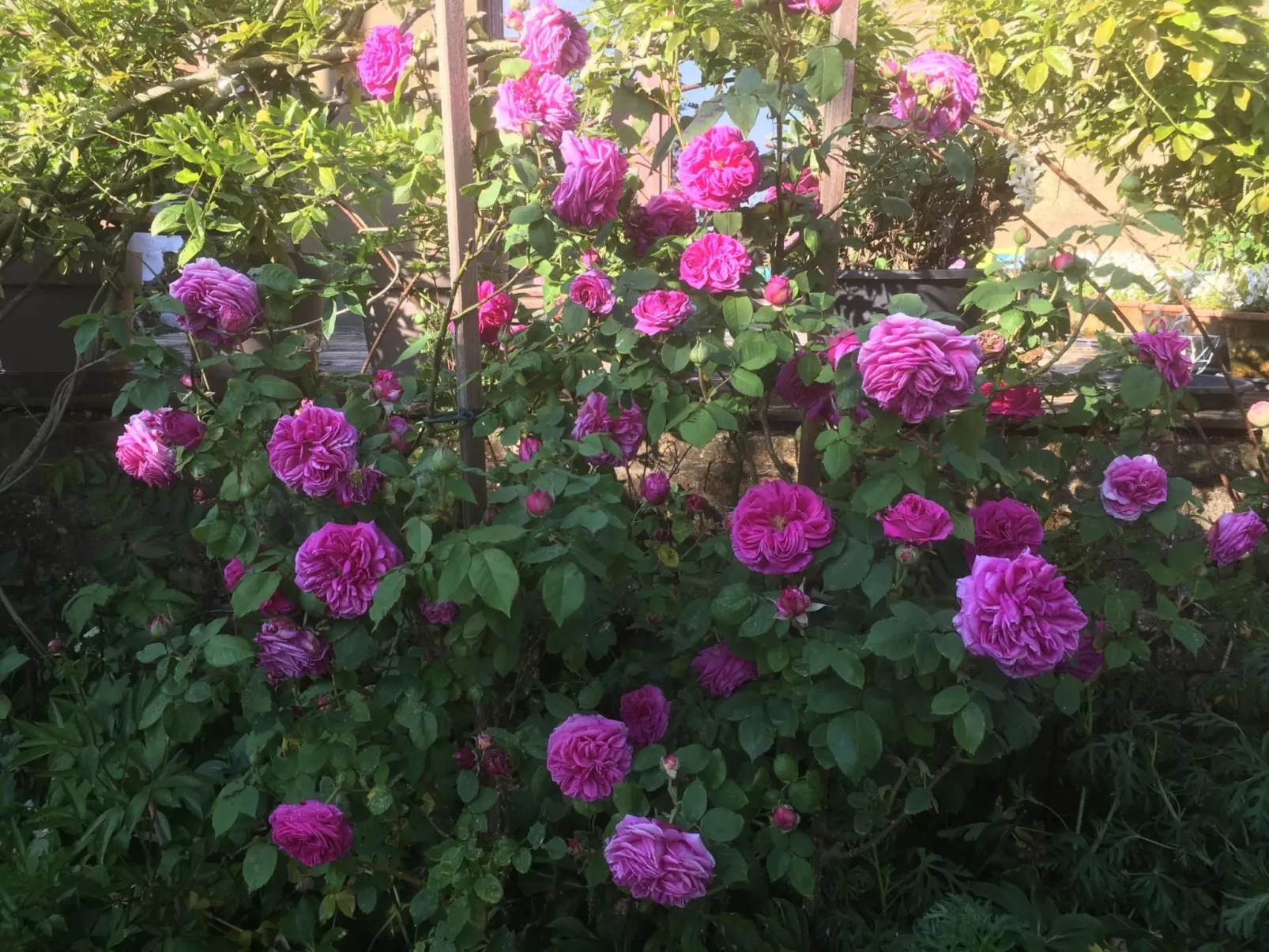 Finca "Motje" mit Aussicht-Draußen