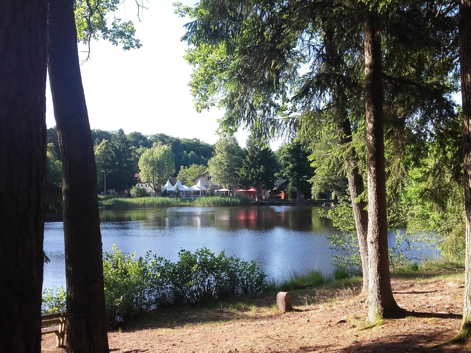 LES BRIMBELLES-Draußen