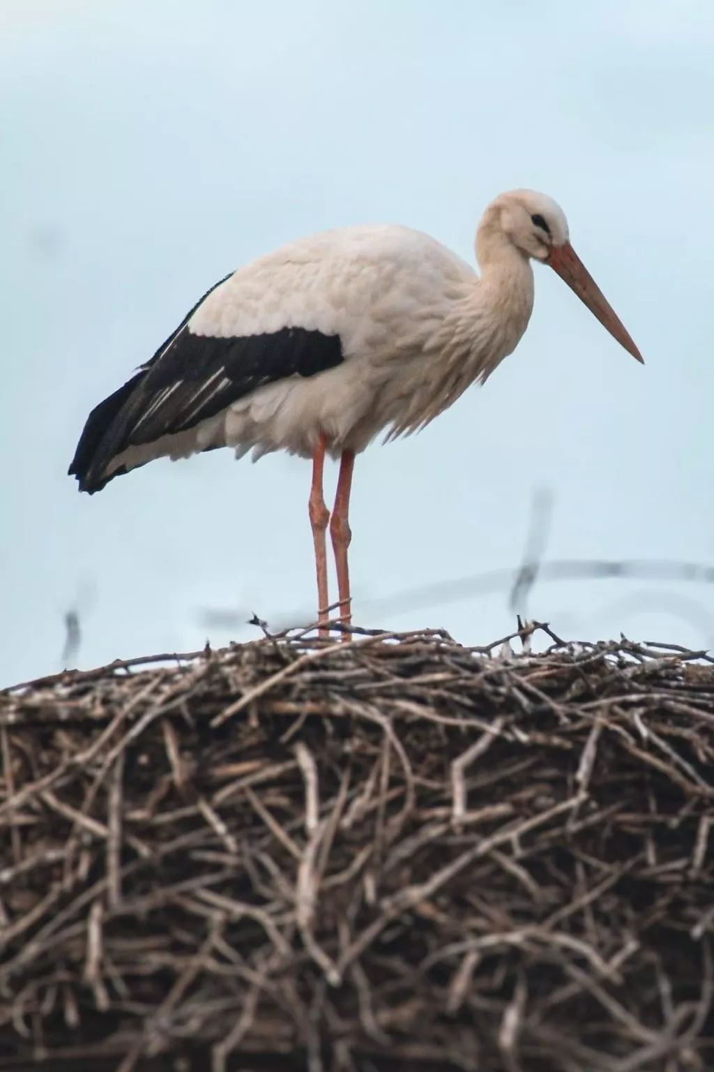 Wohnung mit Privatparkplatz - Draußen